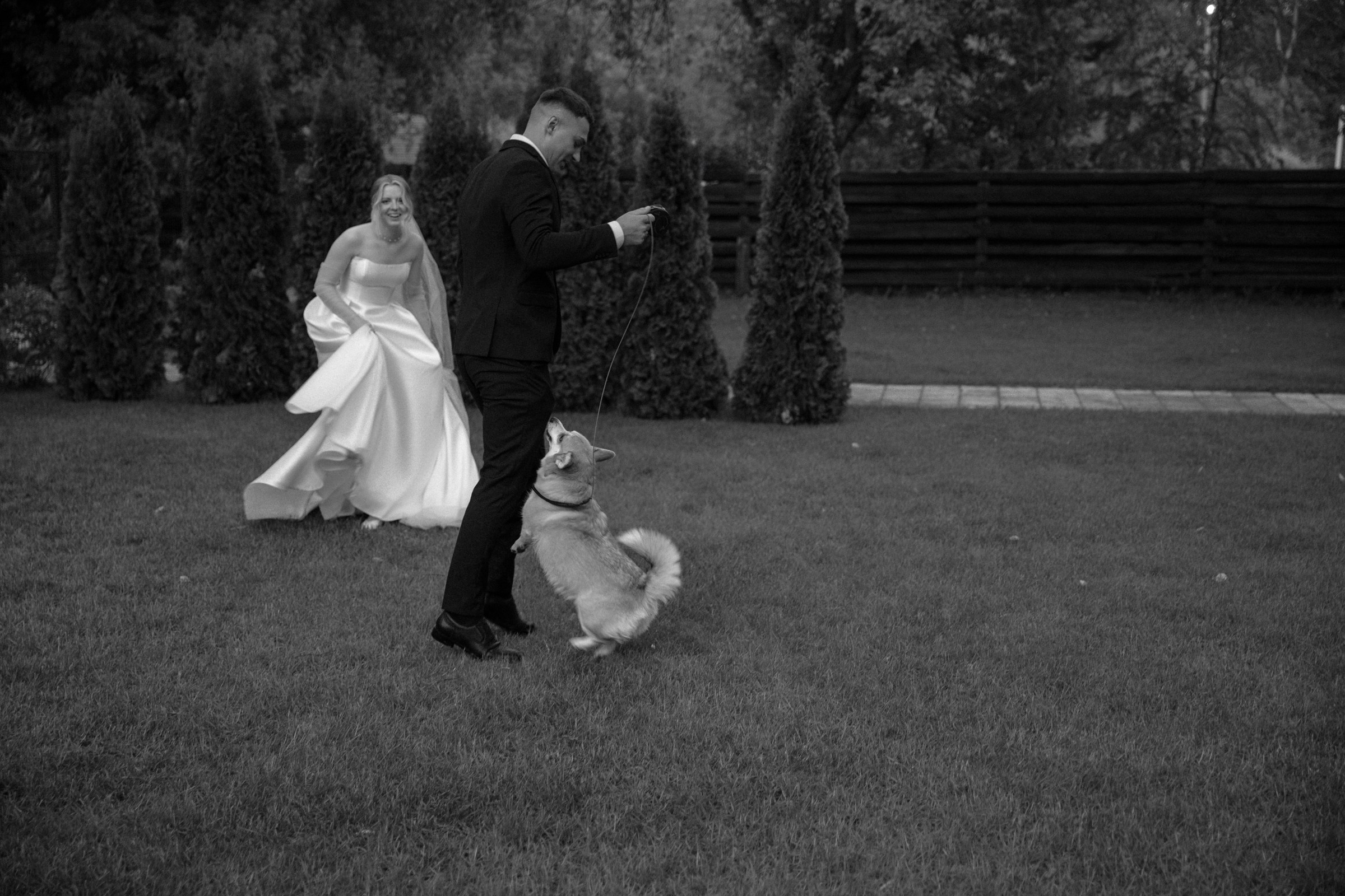 Свадьба пес и котики. Dima Lemeshevsky