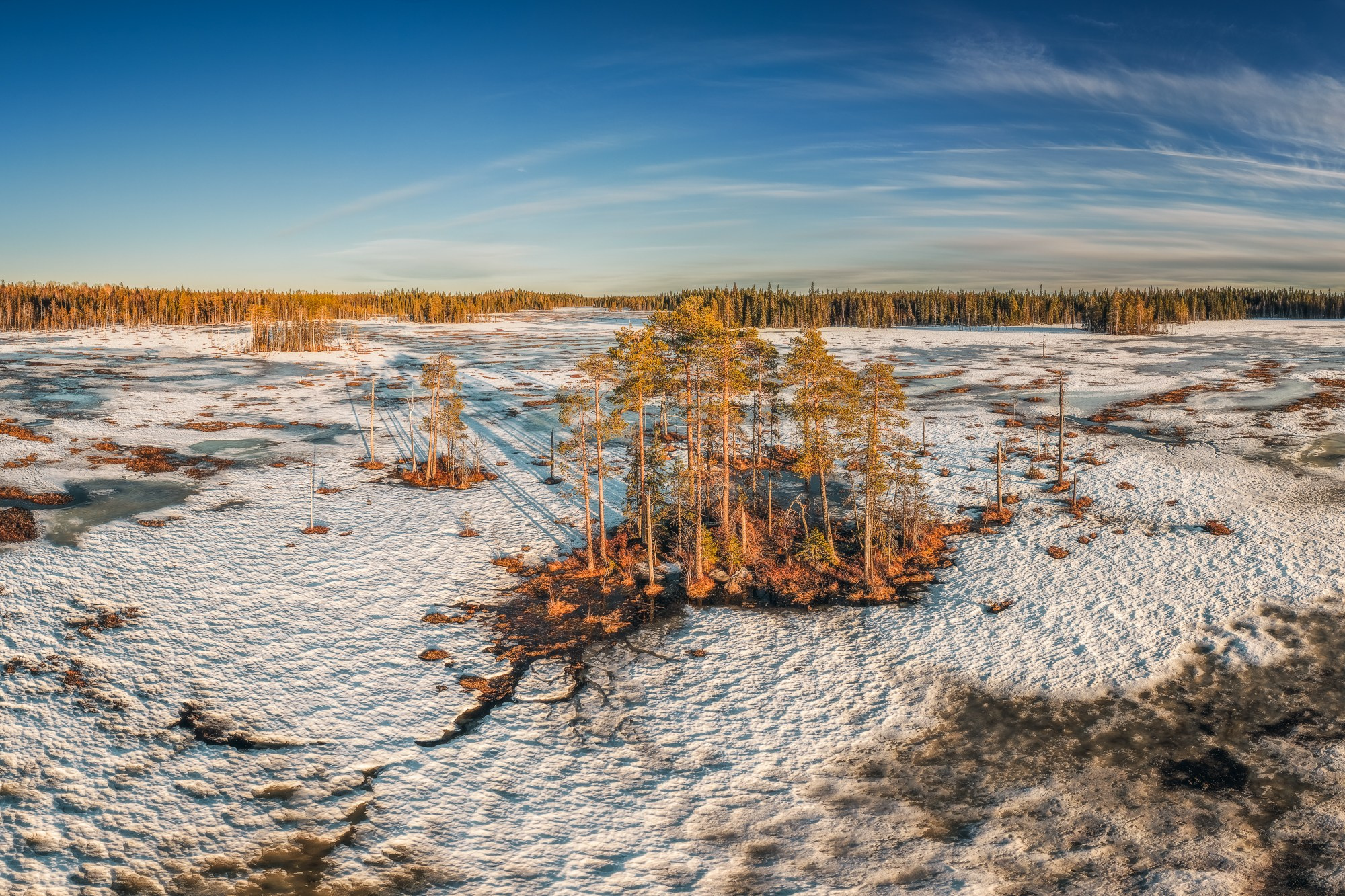 Весна в лесу. Фотосъемка в Архангельске, фотограф Александр Ермолин