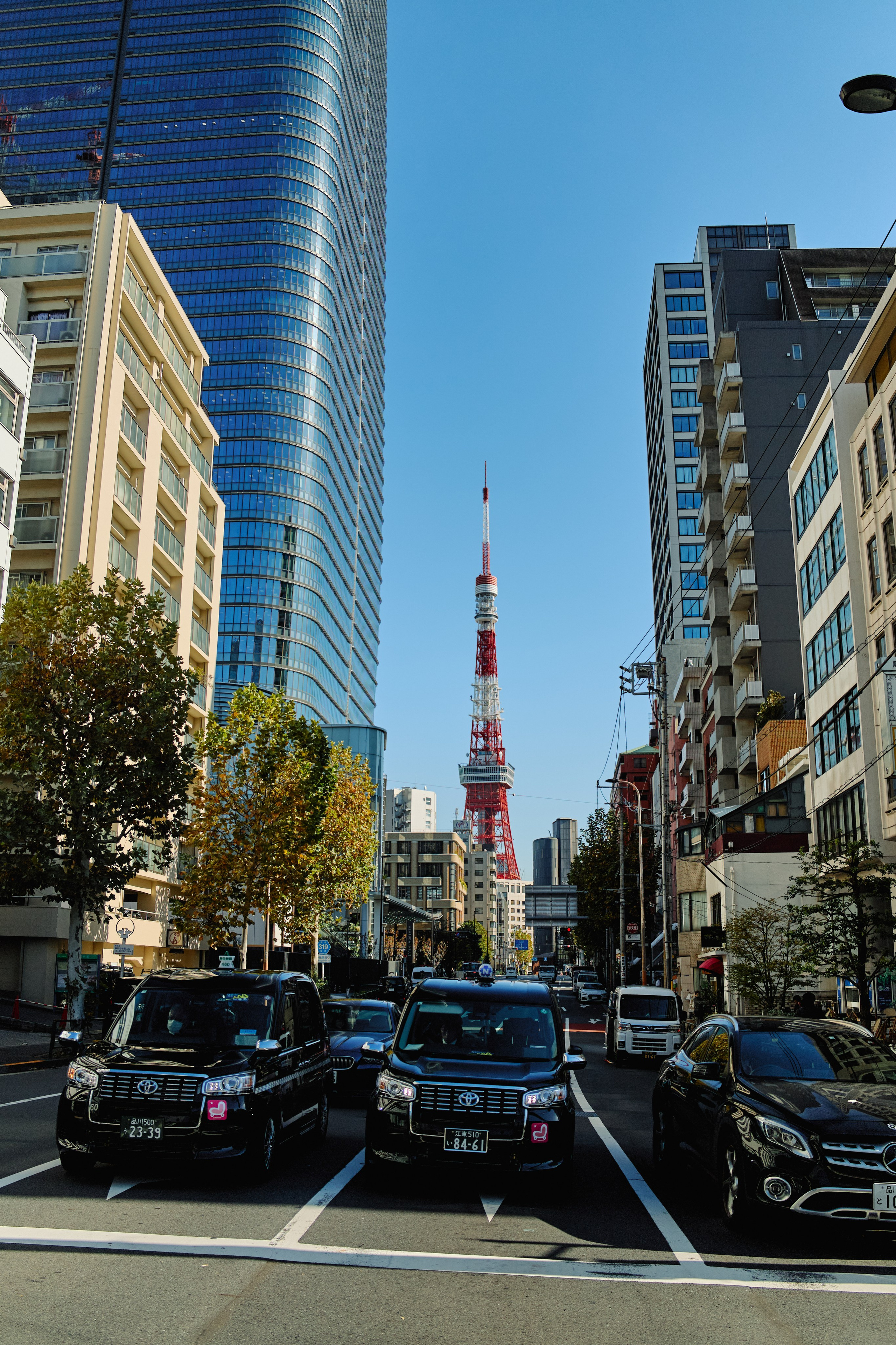 Япония. Профессиональный Фотограф во Владимире, в Москве и в Суздале — Полина Романычева