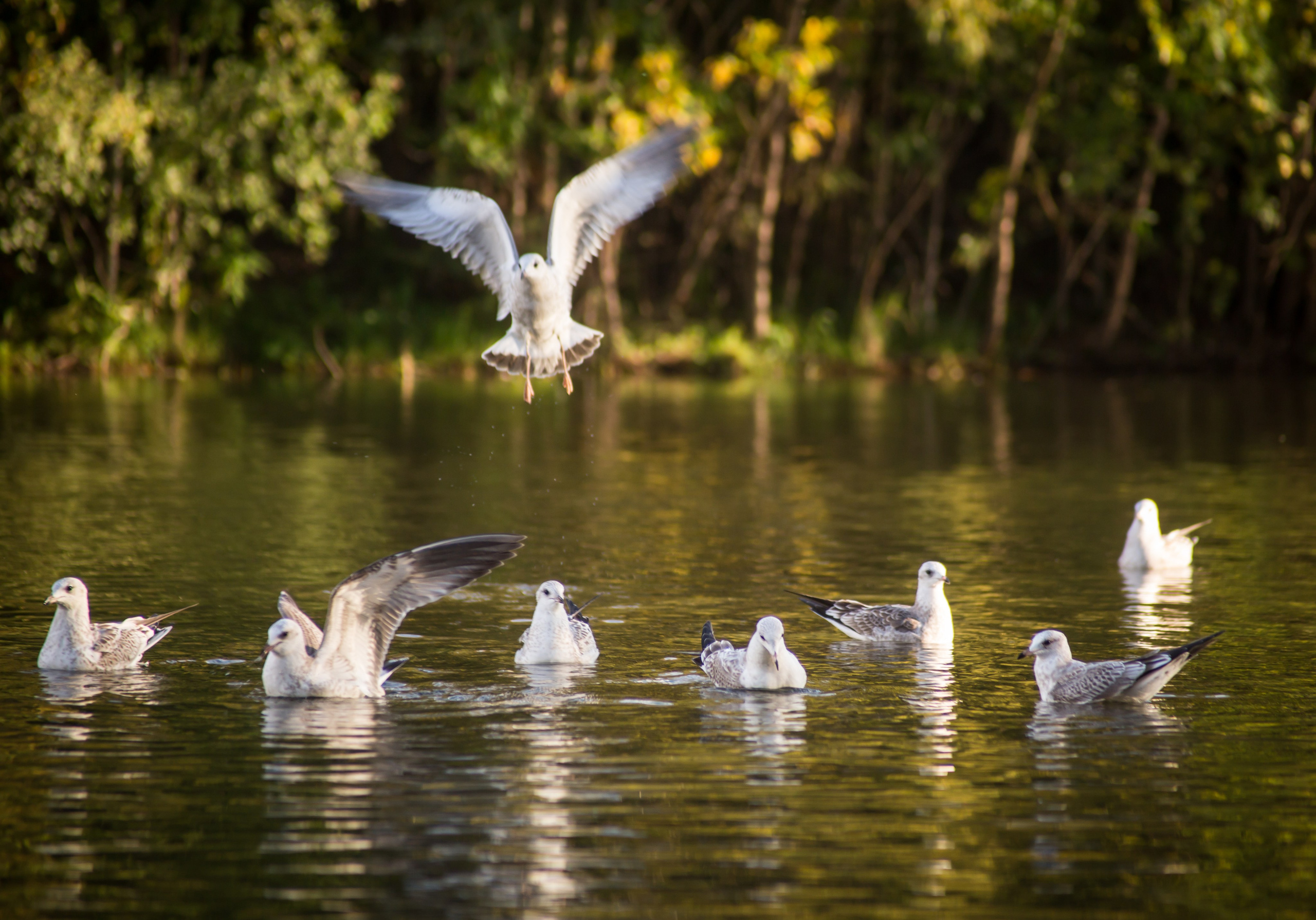 Сургут. Фотограф в г. Сургуте Марина Киприна