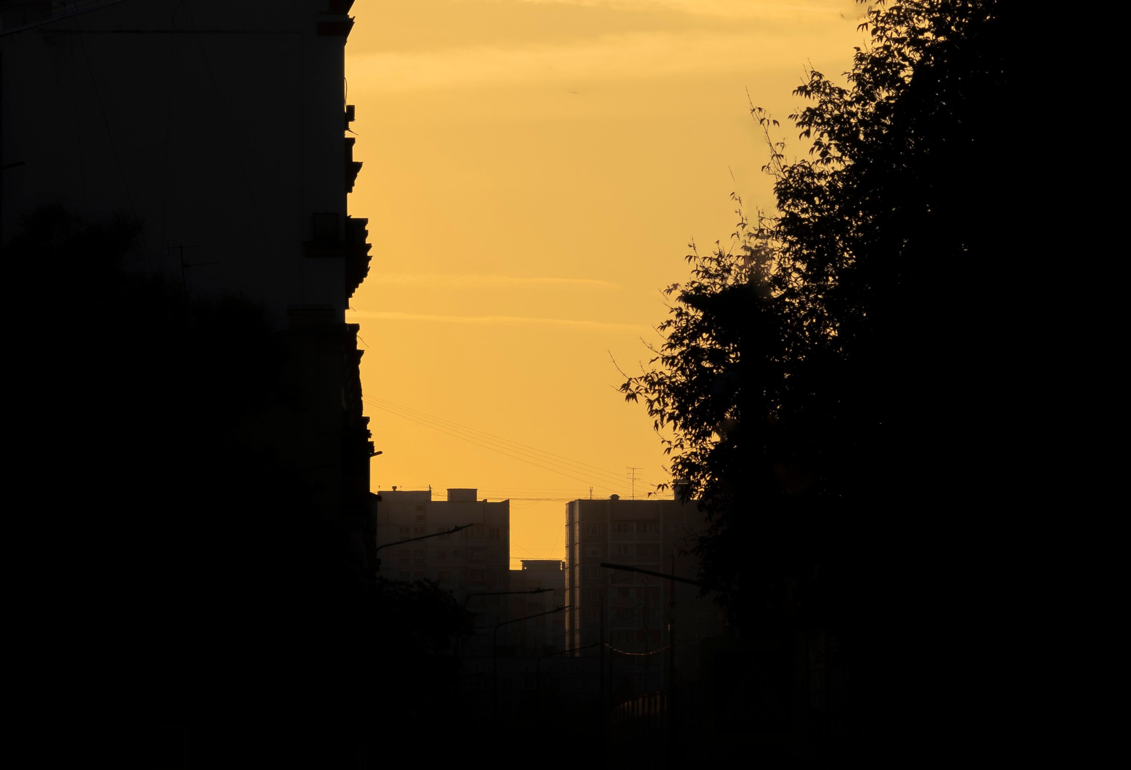 Разное неважное. Фотограф в Москве Алейникова Евгения