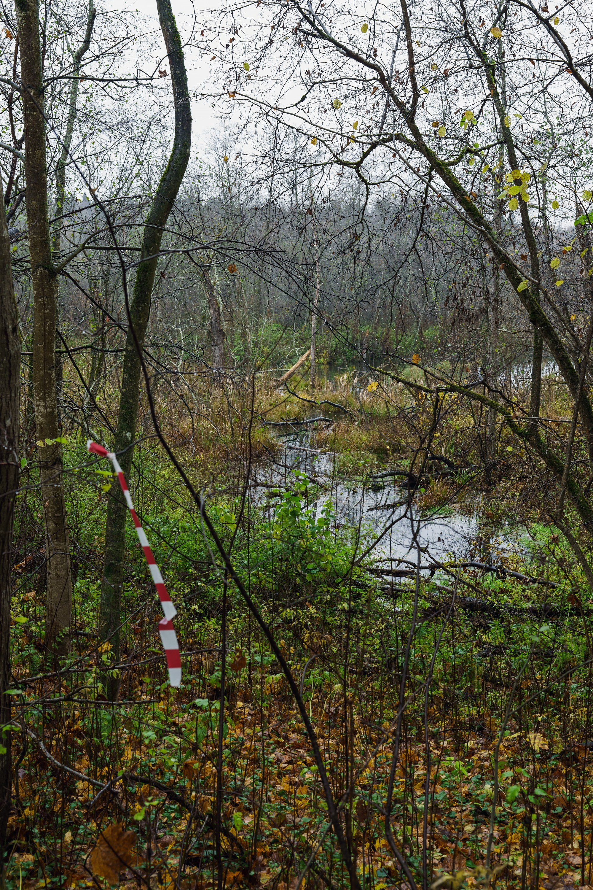 Фотографии Трейл Кутузов 2025. Фотограф спортивные события, недвижимость, турбизнес