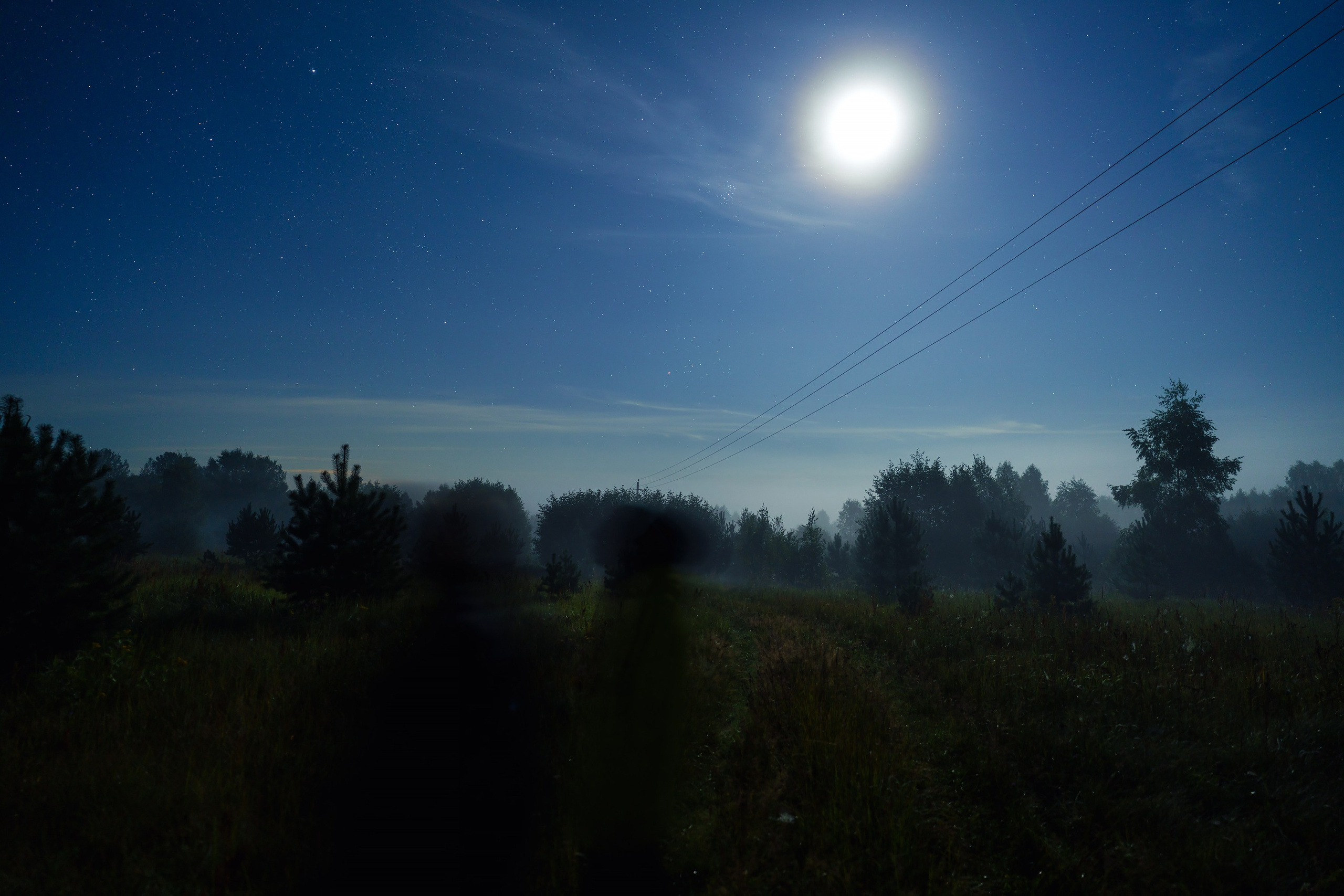 Фотографии Национальный парк Угра. Фотограф спортивные события, недвижимость, турбизнес
