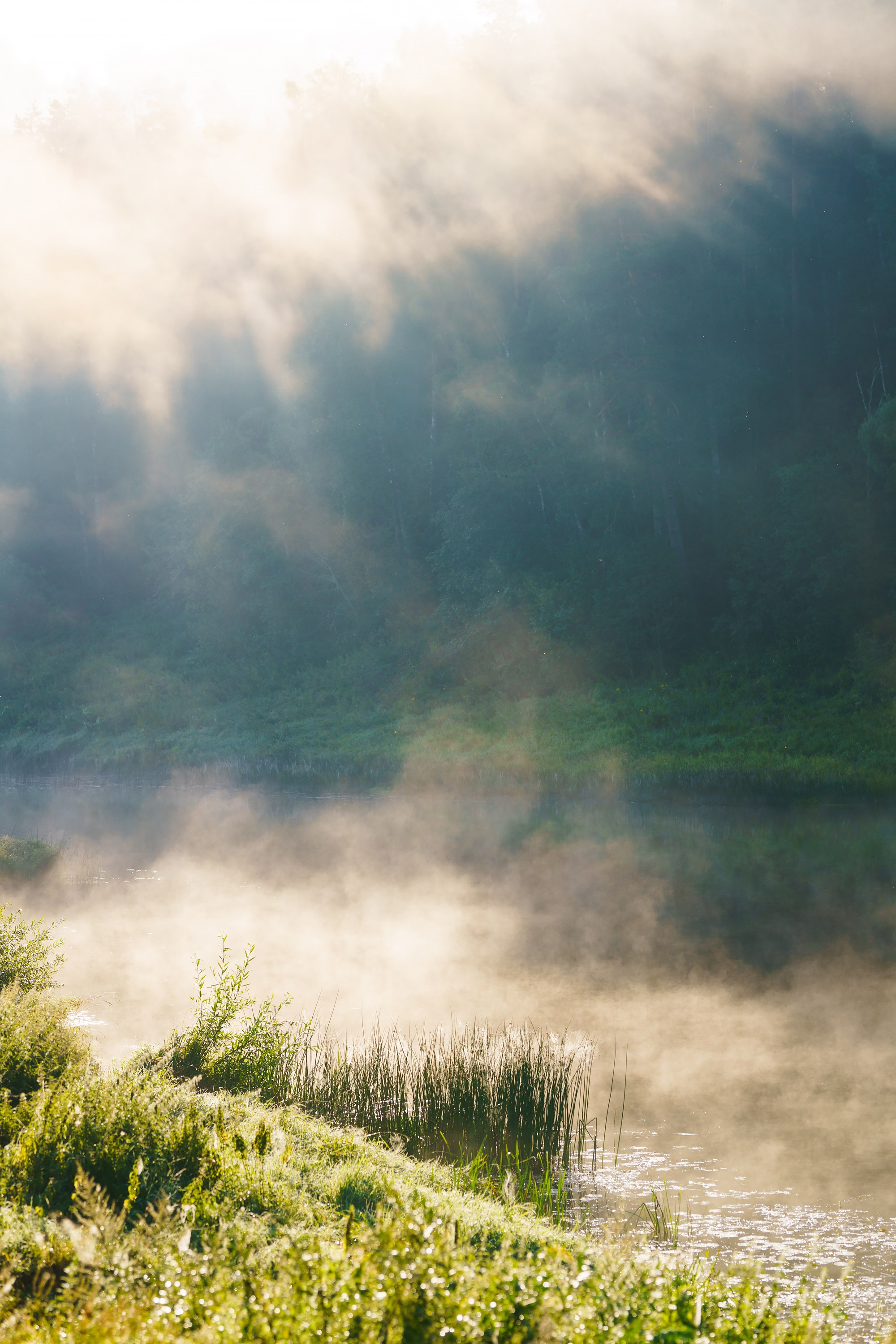 Фотографии Национальный парк Угра. Фотограф спортивные события, недвижимость, турбизнес