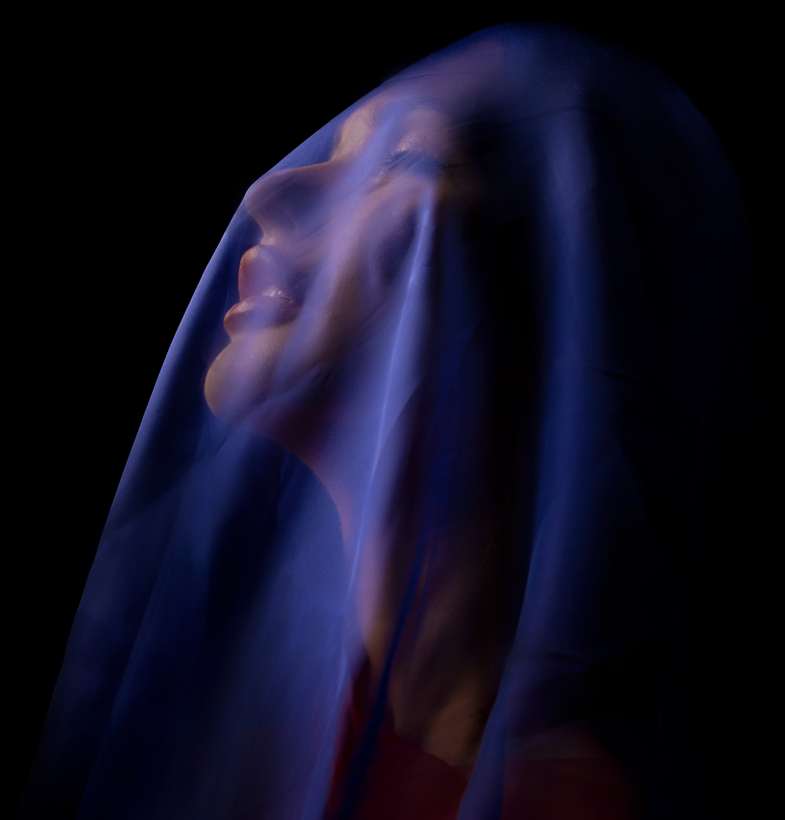 Юля цвет альбом. Балетный фотограф Москва Майоров Николай