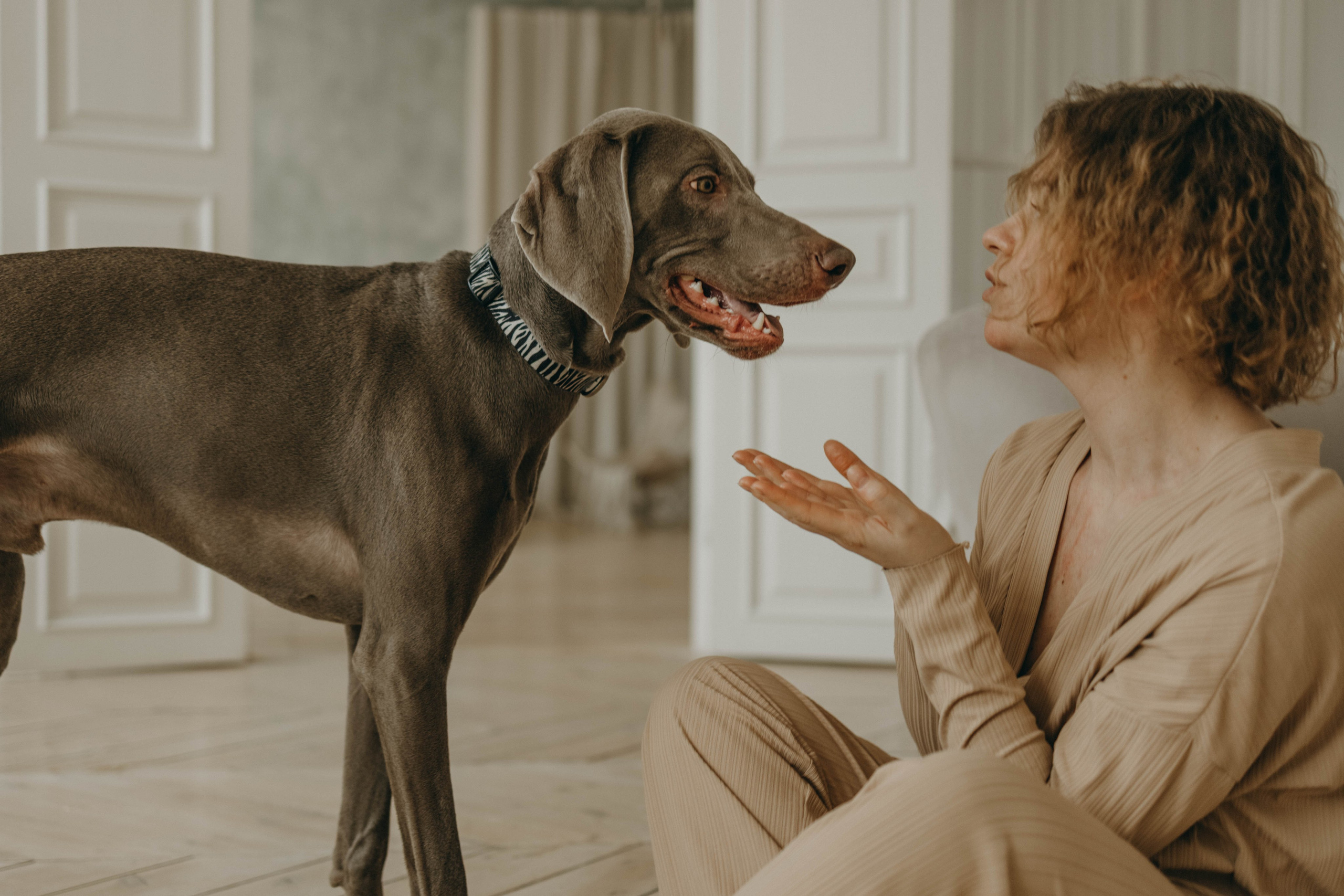 Фотосессия в студии с собакой. Фотограф-анималист в Екатеринбурге | Кристина