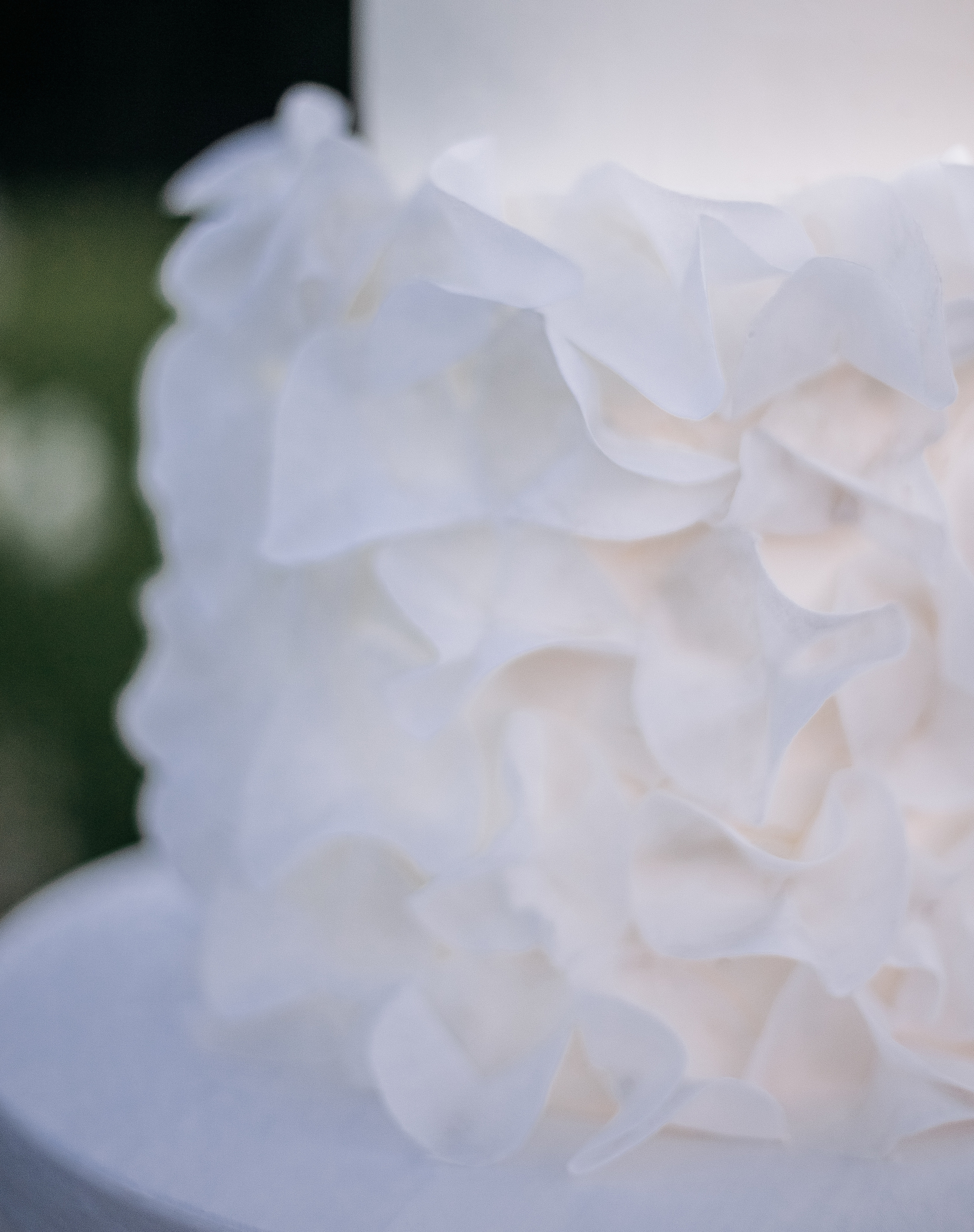 Екатерина и Марк. Ваш фотограф — Александра Андрущенко