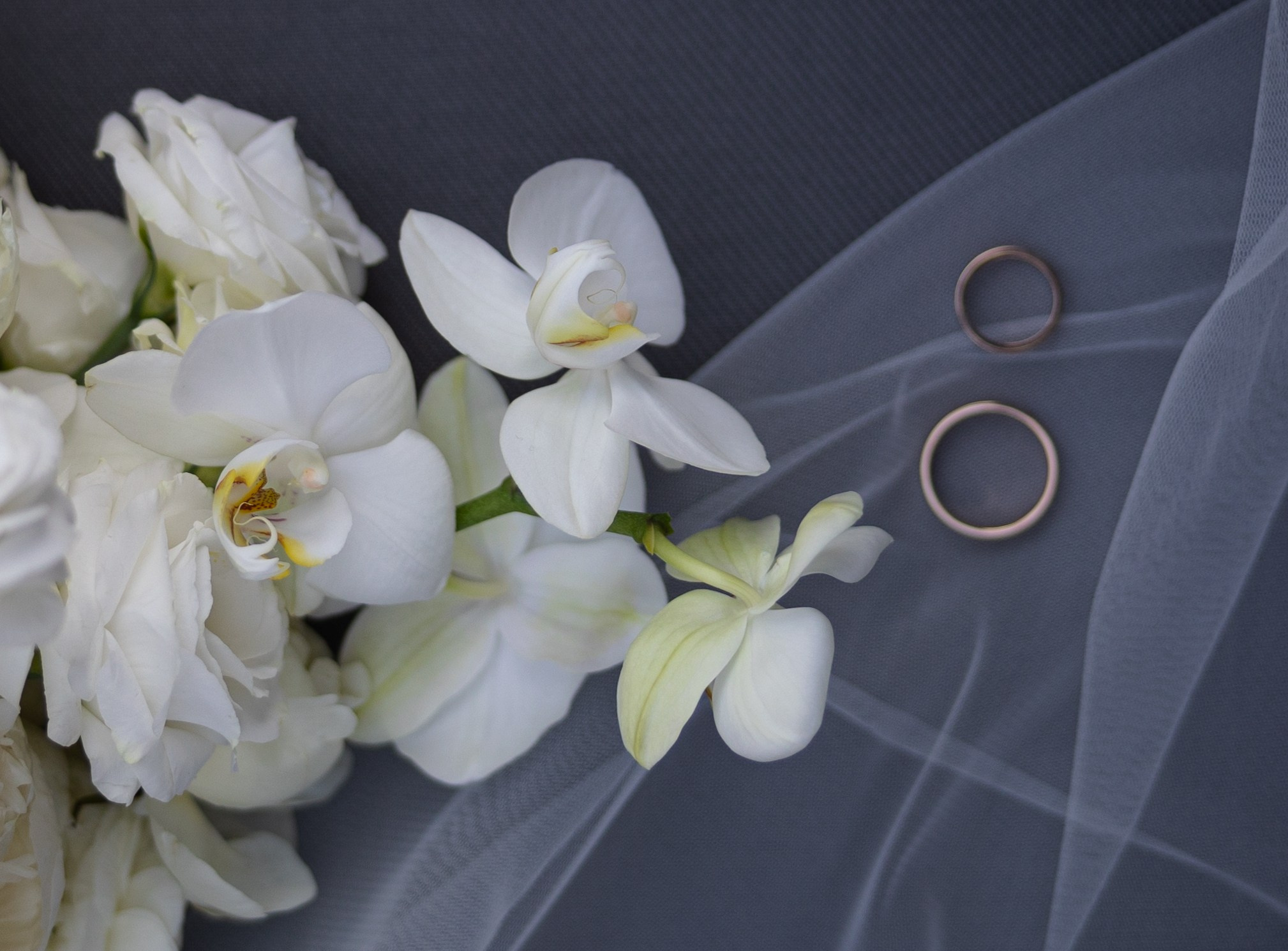 Кристина и Дмитрий. Ваш фотограф — Александра Андрущенко