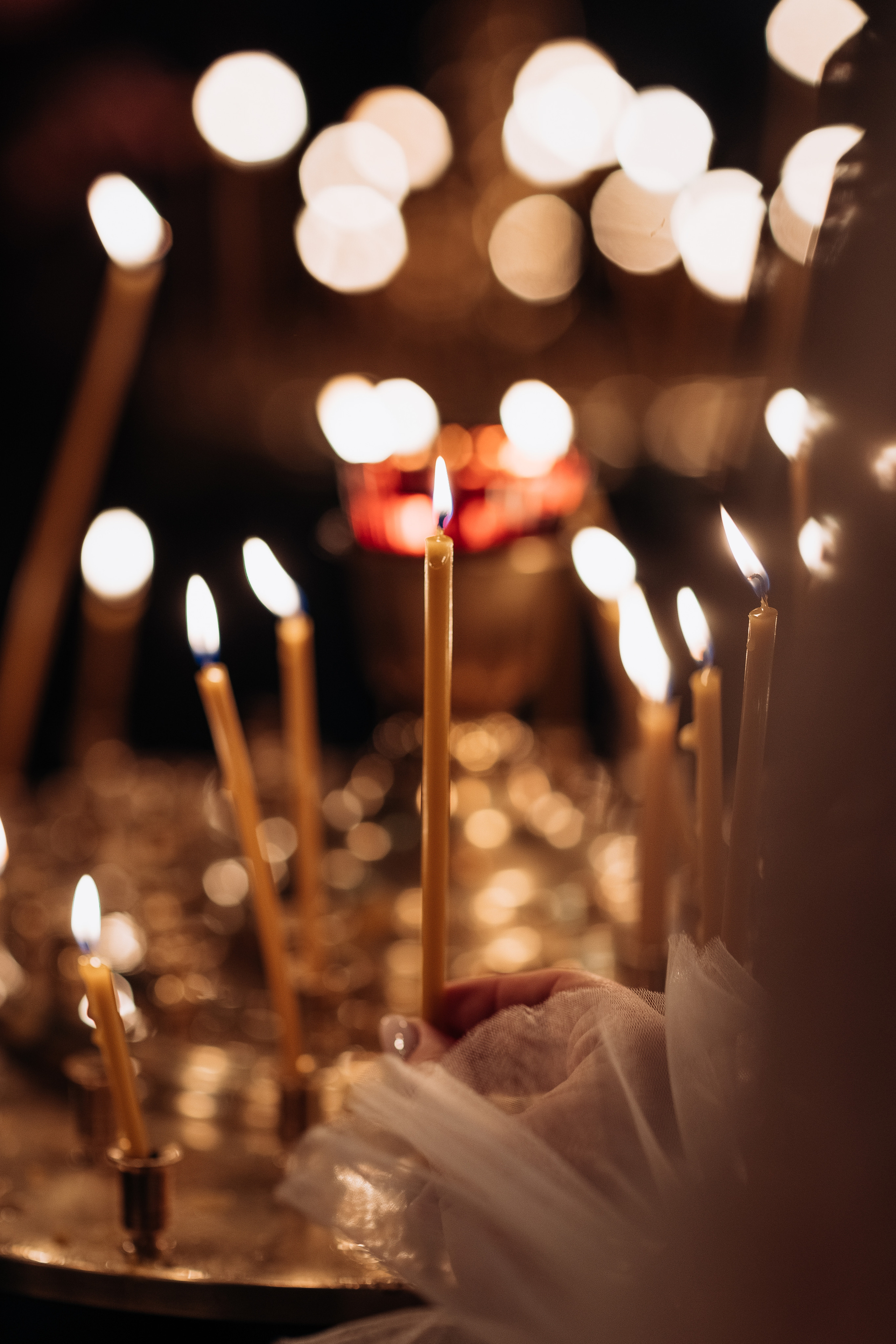 Артём и Ирина. Ваш фотограф — Александра Андрущенко