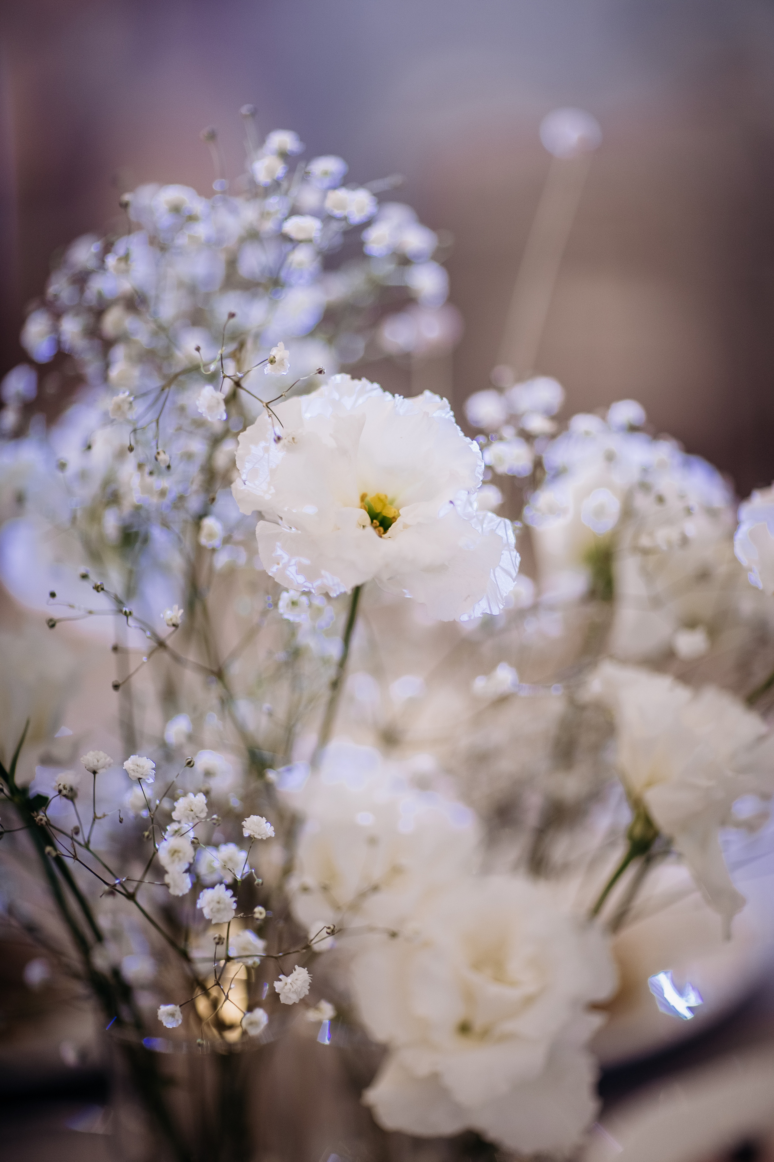 Екатерина и Марк. Ваш фотограф — Александра Андрущенко