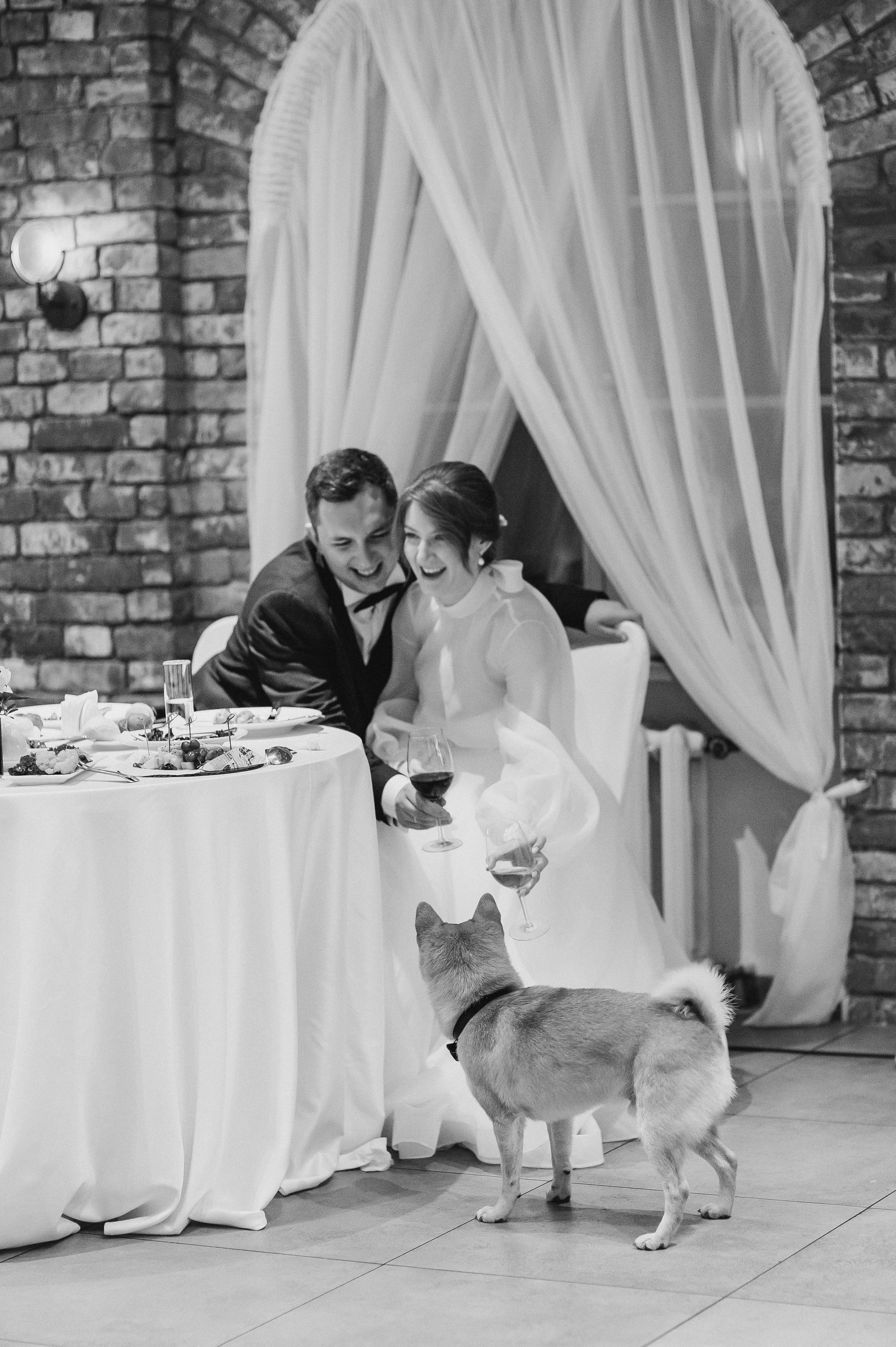 Алина и Евгений. Ваш фотограф — Александра Андрущенко