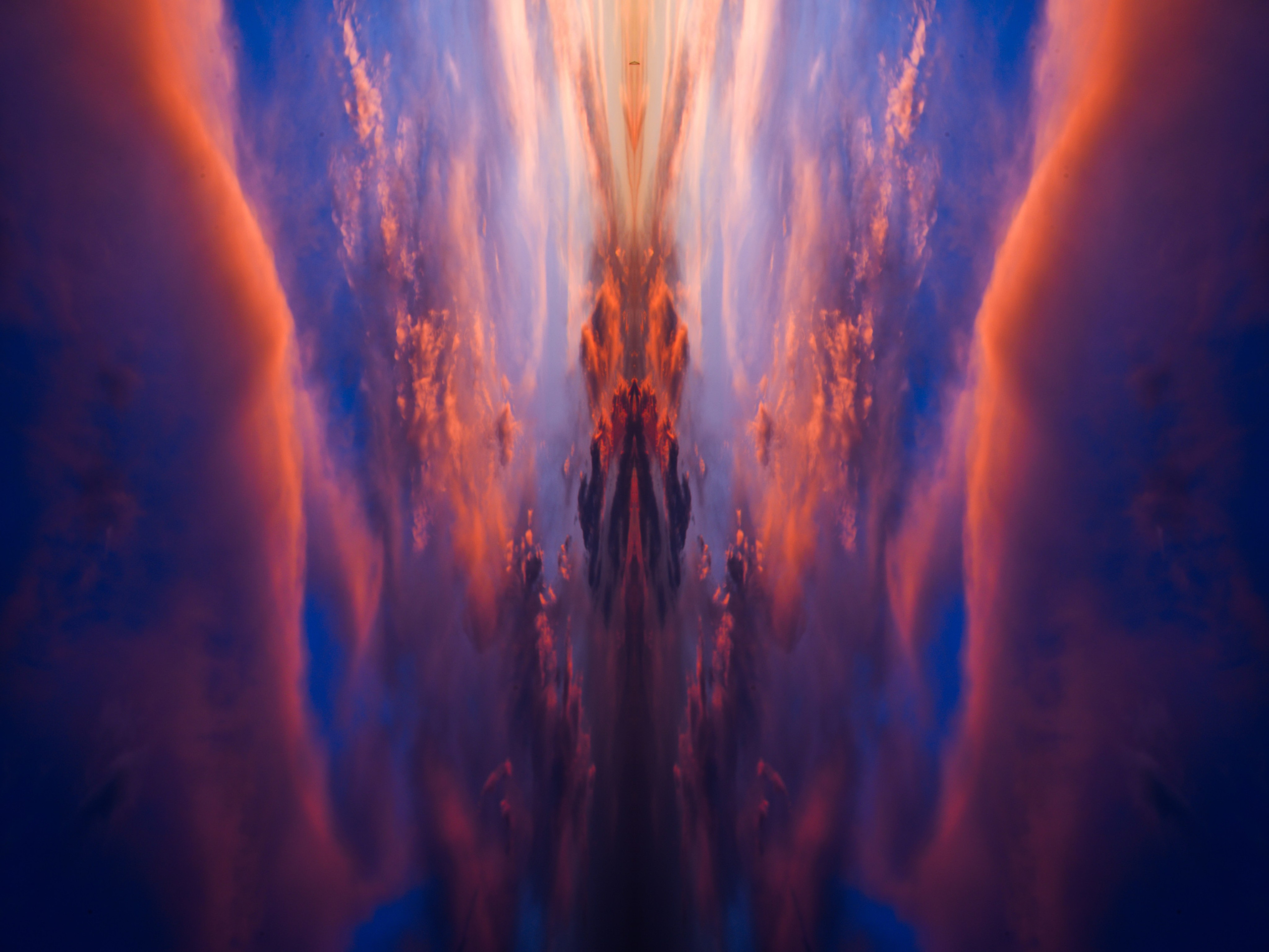 Urban flowers. Арт — фотограф Евгений Наймушин Новокузнецк