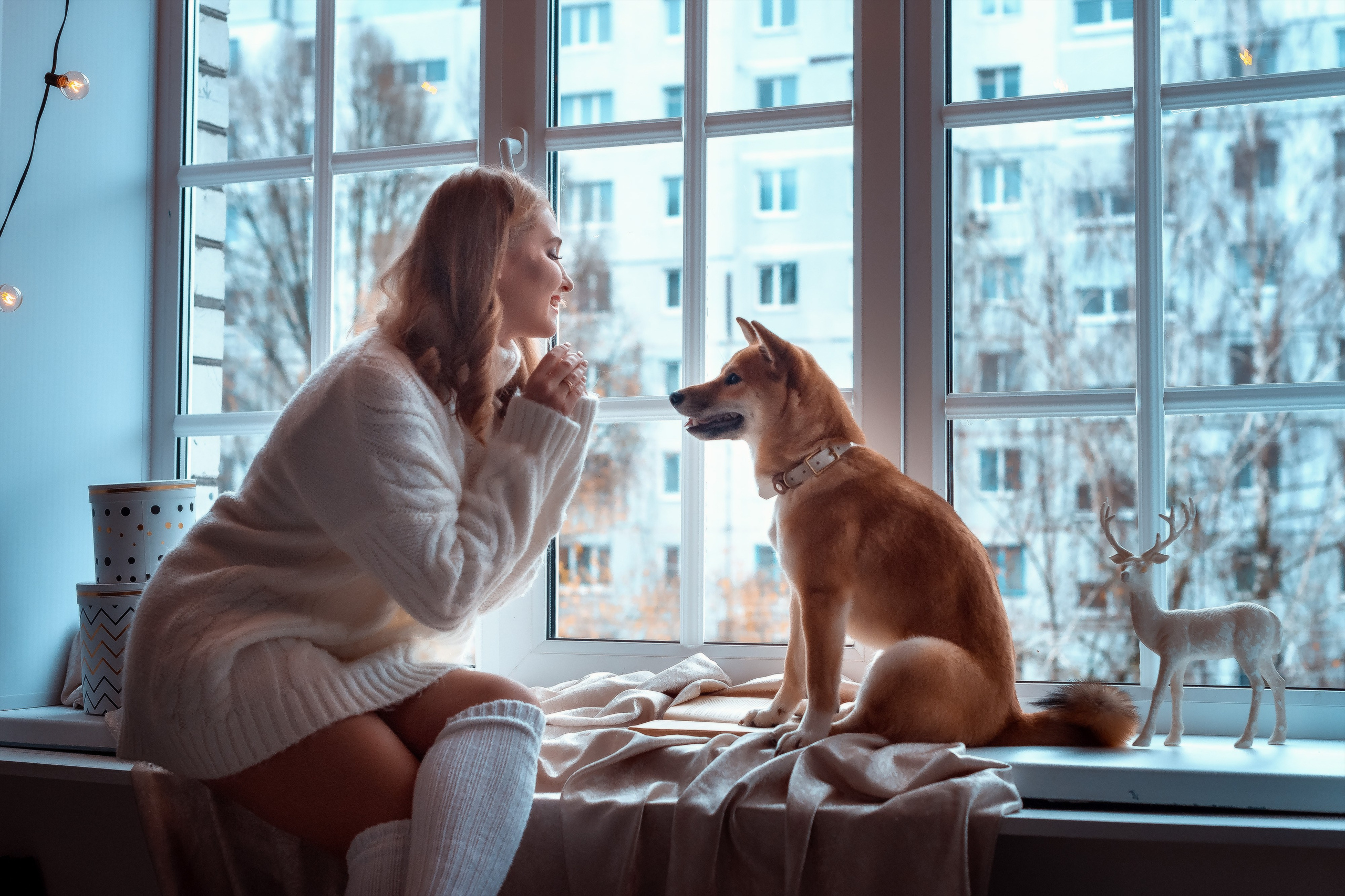 Элина и Симба Сиба-Ину. Женский фотограф Крещение Венчание Москва Брянск