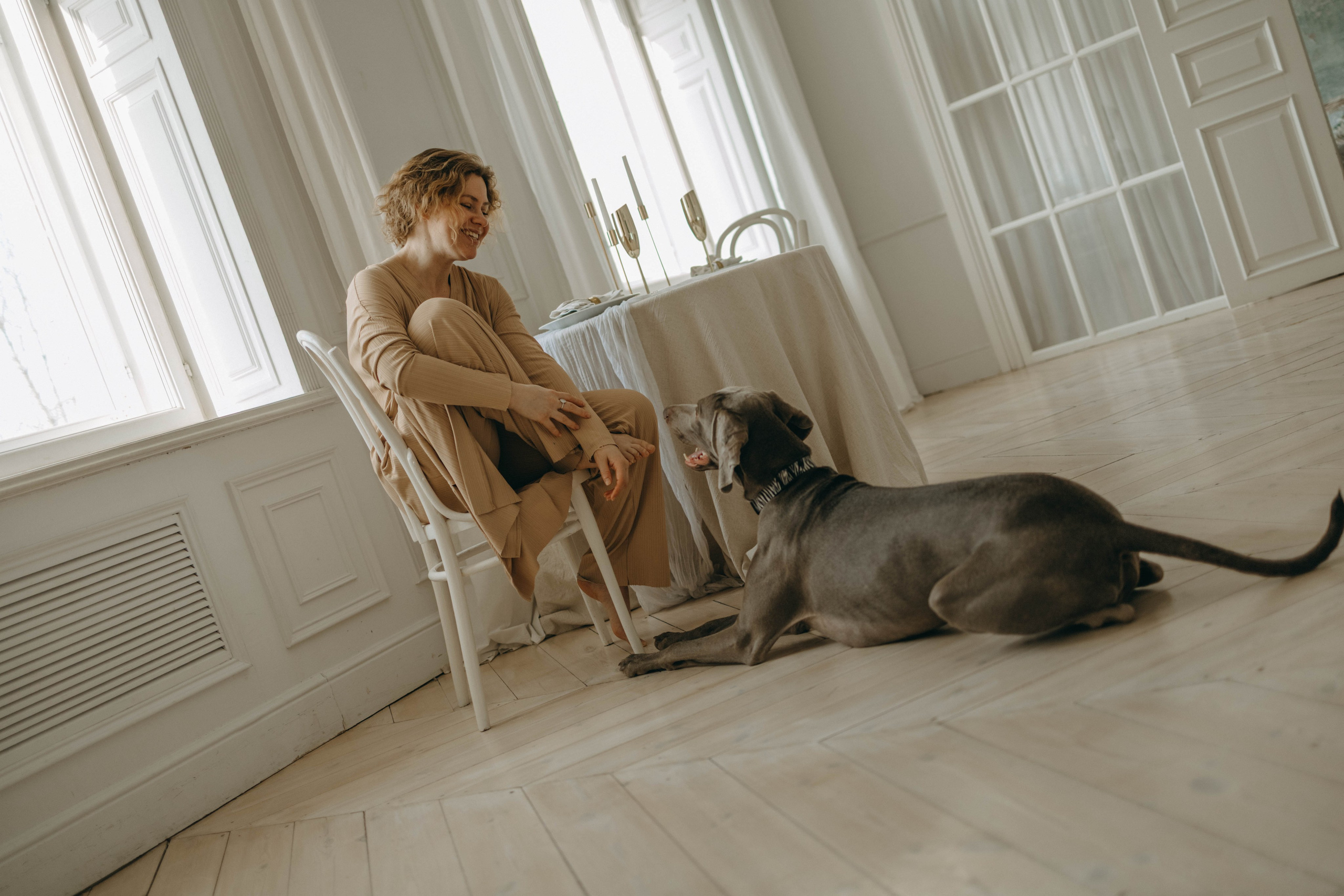 Фотосессия в студии с собакой. Фотограф-анималист в Екатеринбурге | Кристина