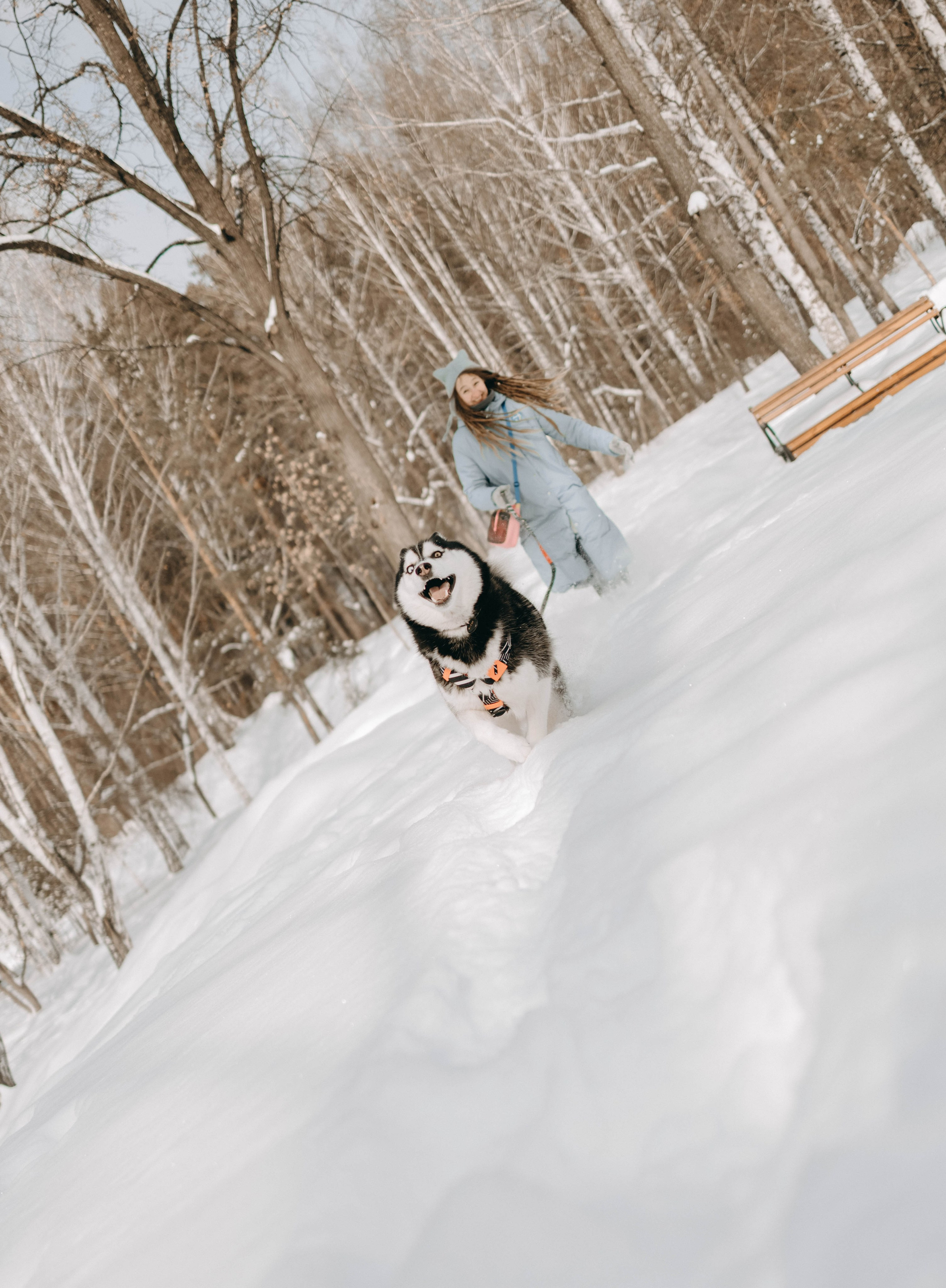 Анна и Вегас. Фотограф-анималист в Екатеринбурге | Кристина