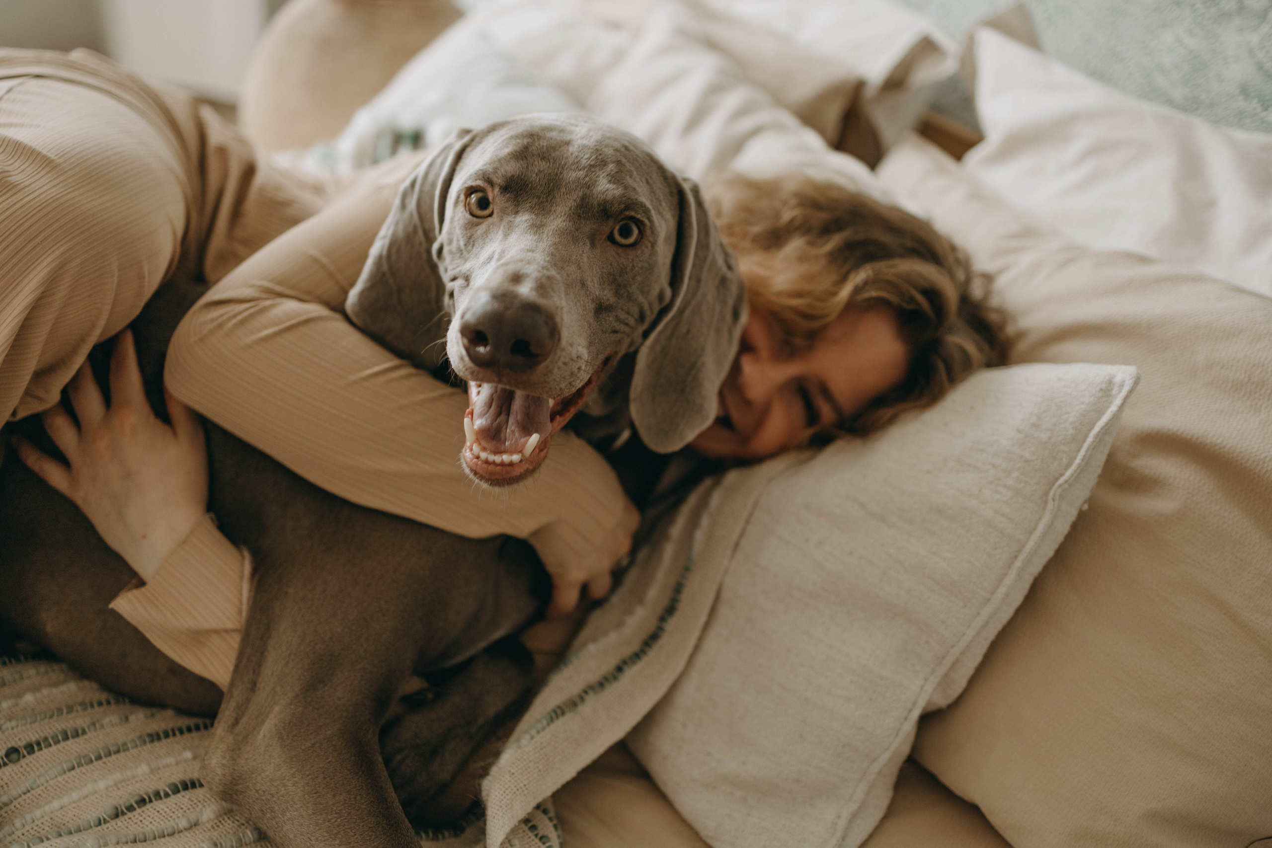 Фотосессия в студии с собакой. Фотограф-анималист в Екатеринбурге | Кристина