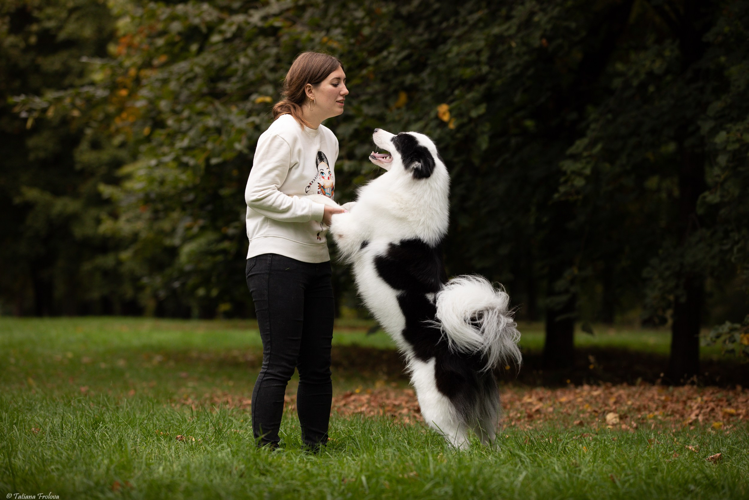 Небольшая фотосессия в Москве после выставки собак. Фотограф-анималист в Москве и Московской области Татьяна Фролова