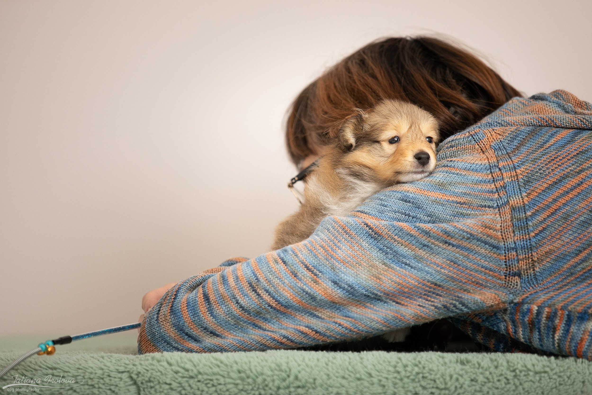 Съёмка щенков дома. Фотограф-анималист в Москве и Московской области Татьяна Фролова