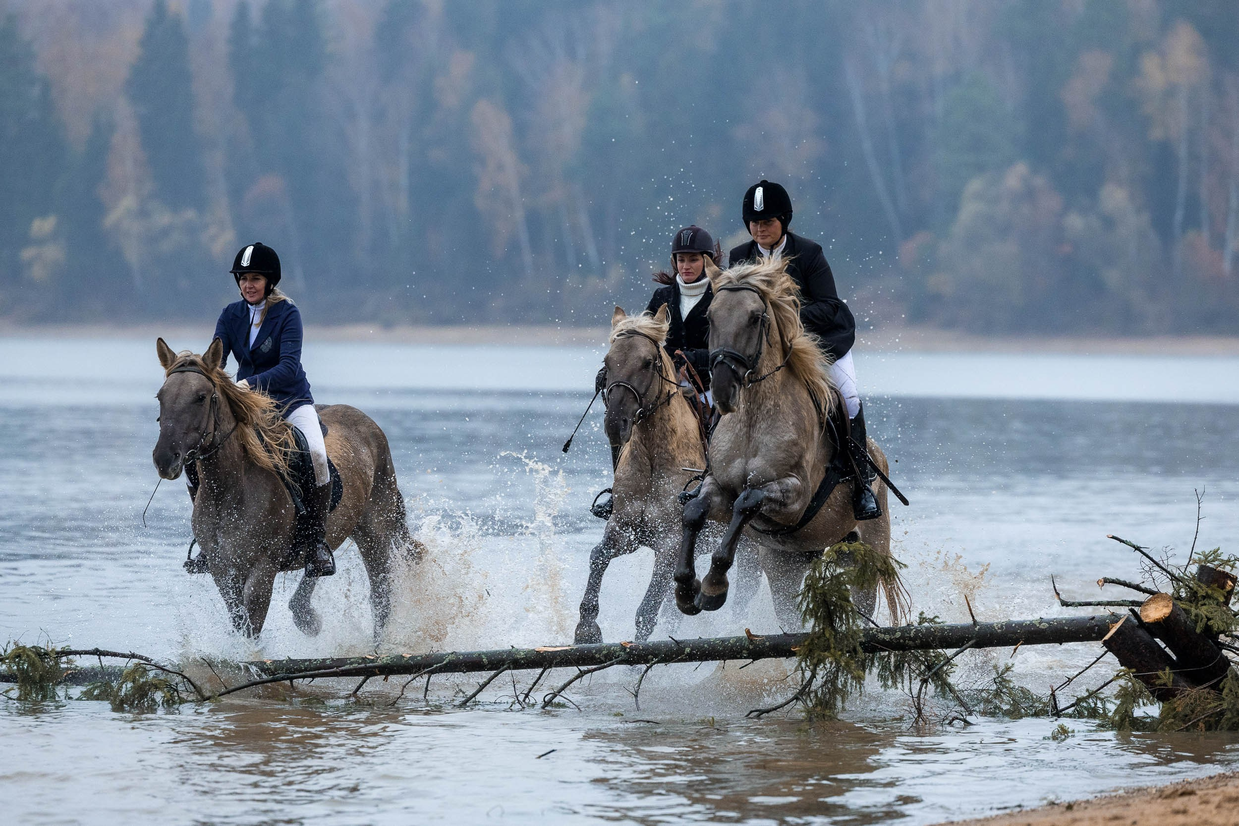 Охоты КТБ «Аванпост». Фотограф-анималист Юлия Удовенко