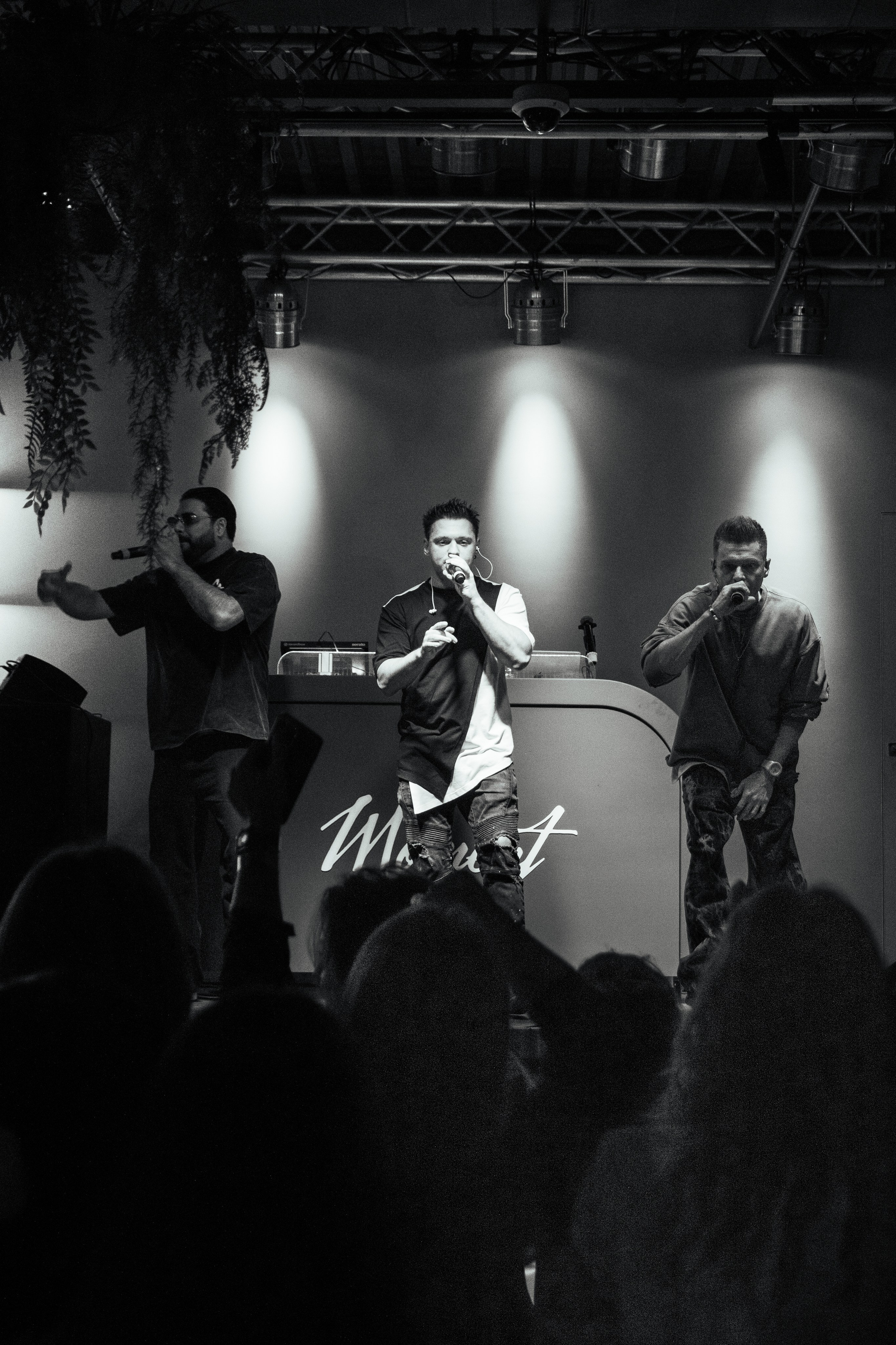 Корни. Фотограф Лобанов Антон, г. Москва