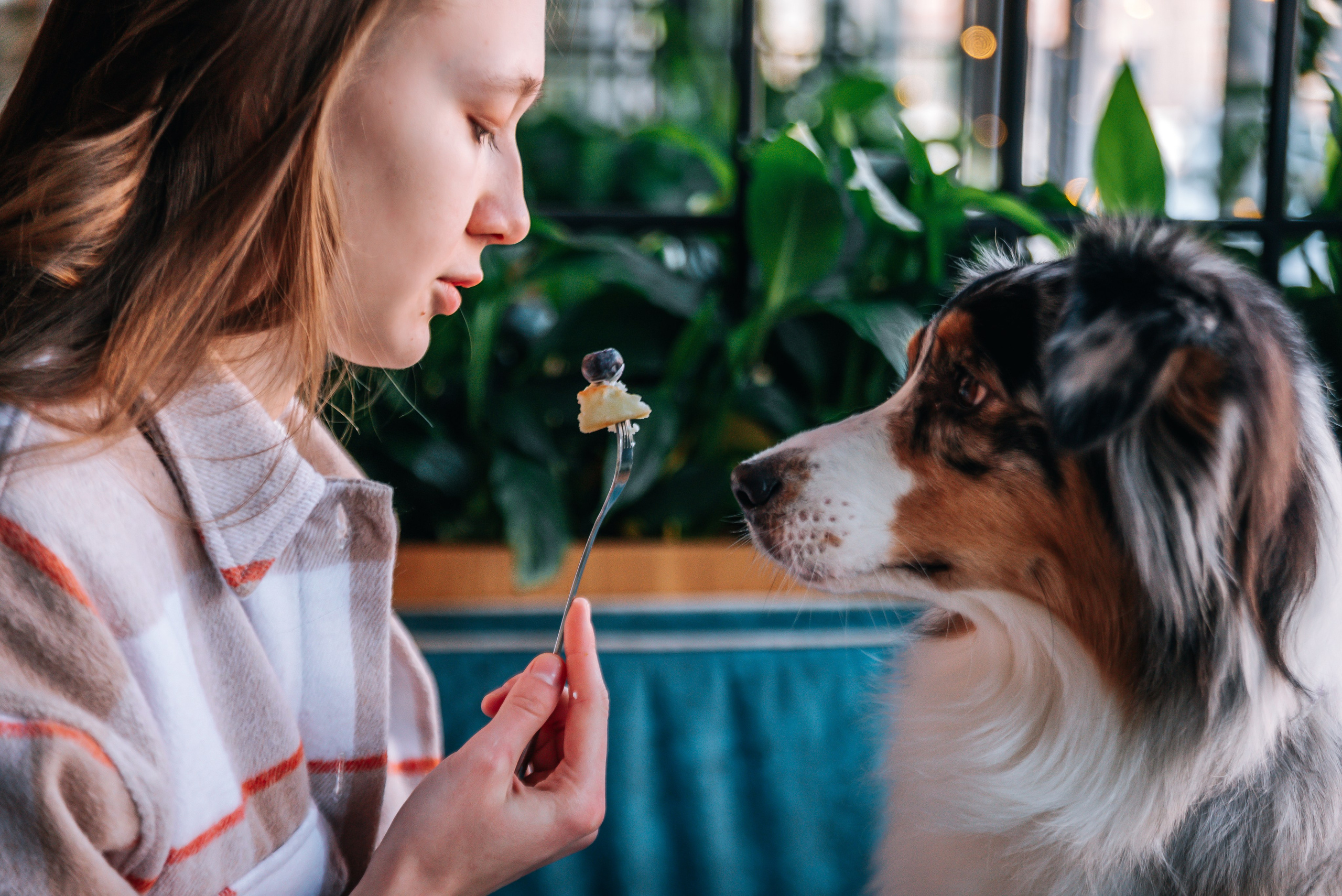 Лиза и Харли в кафе. Главная