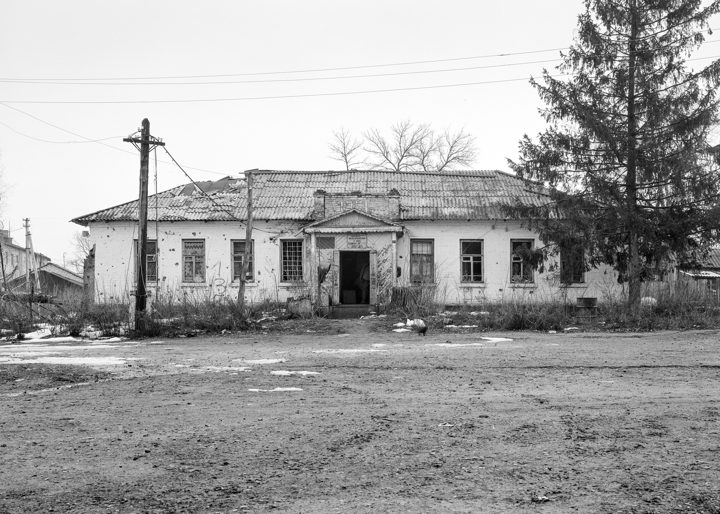 Прочее. Igor Volkov