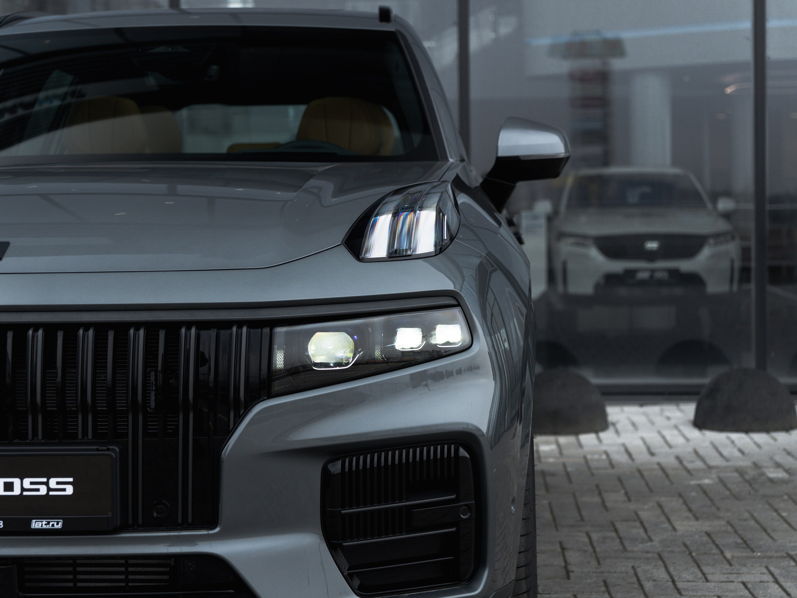 NORDCROSS GREY. Opasnophoto