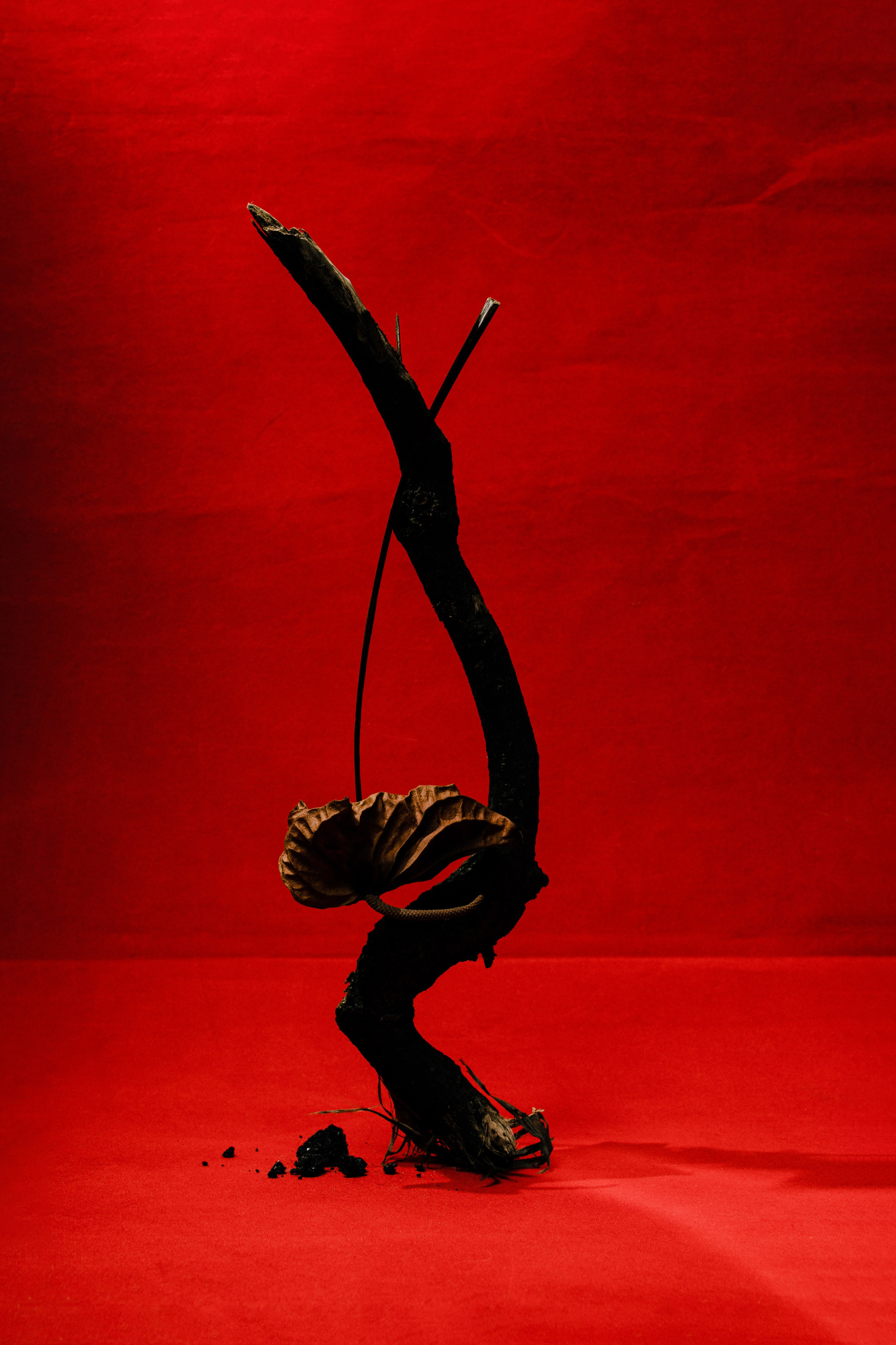 Асель Рембекова