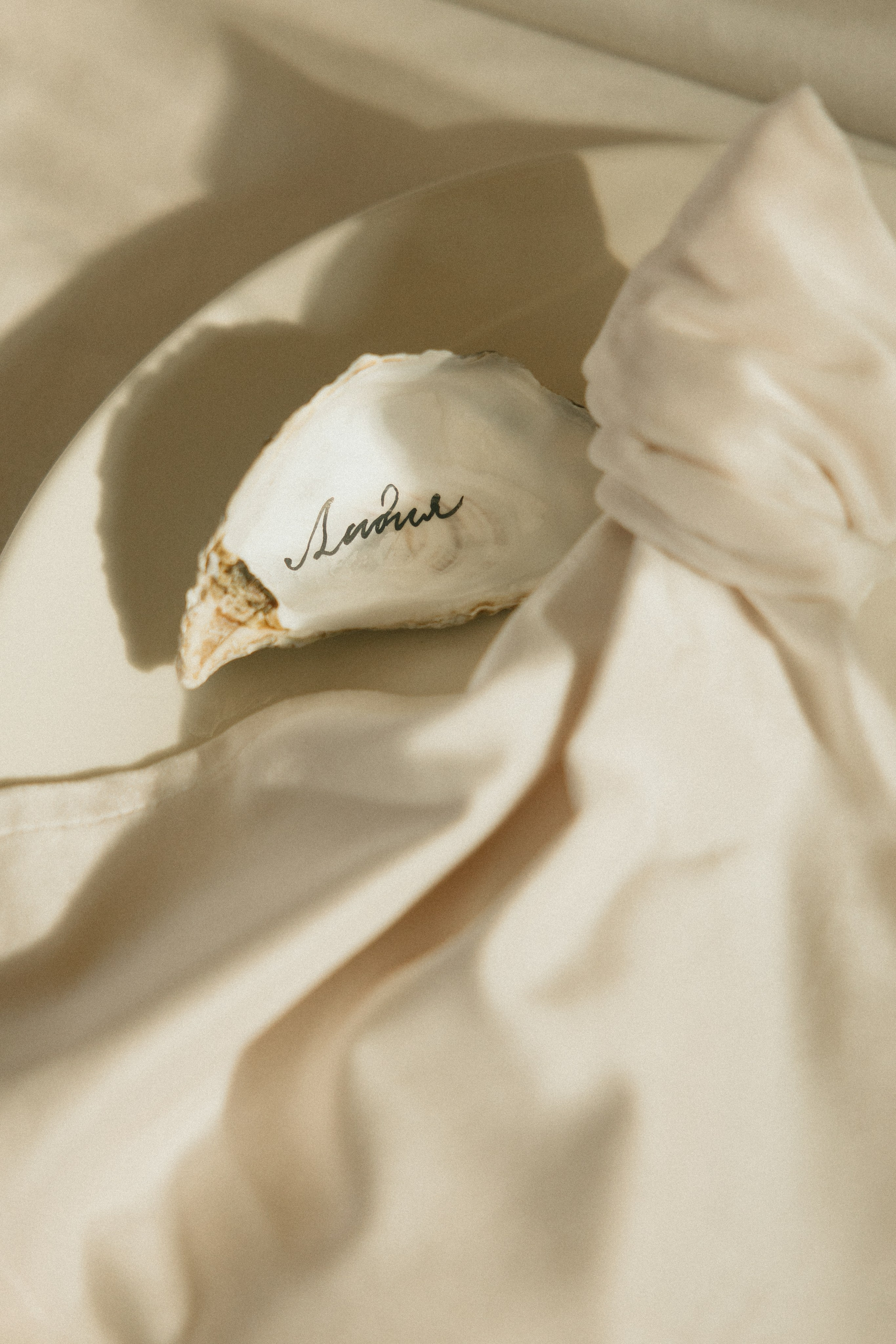 Свадебный и репортажный фотограф Новороссийск, Краснодар, Сочи Олеся Дзюба