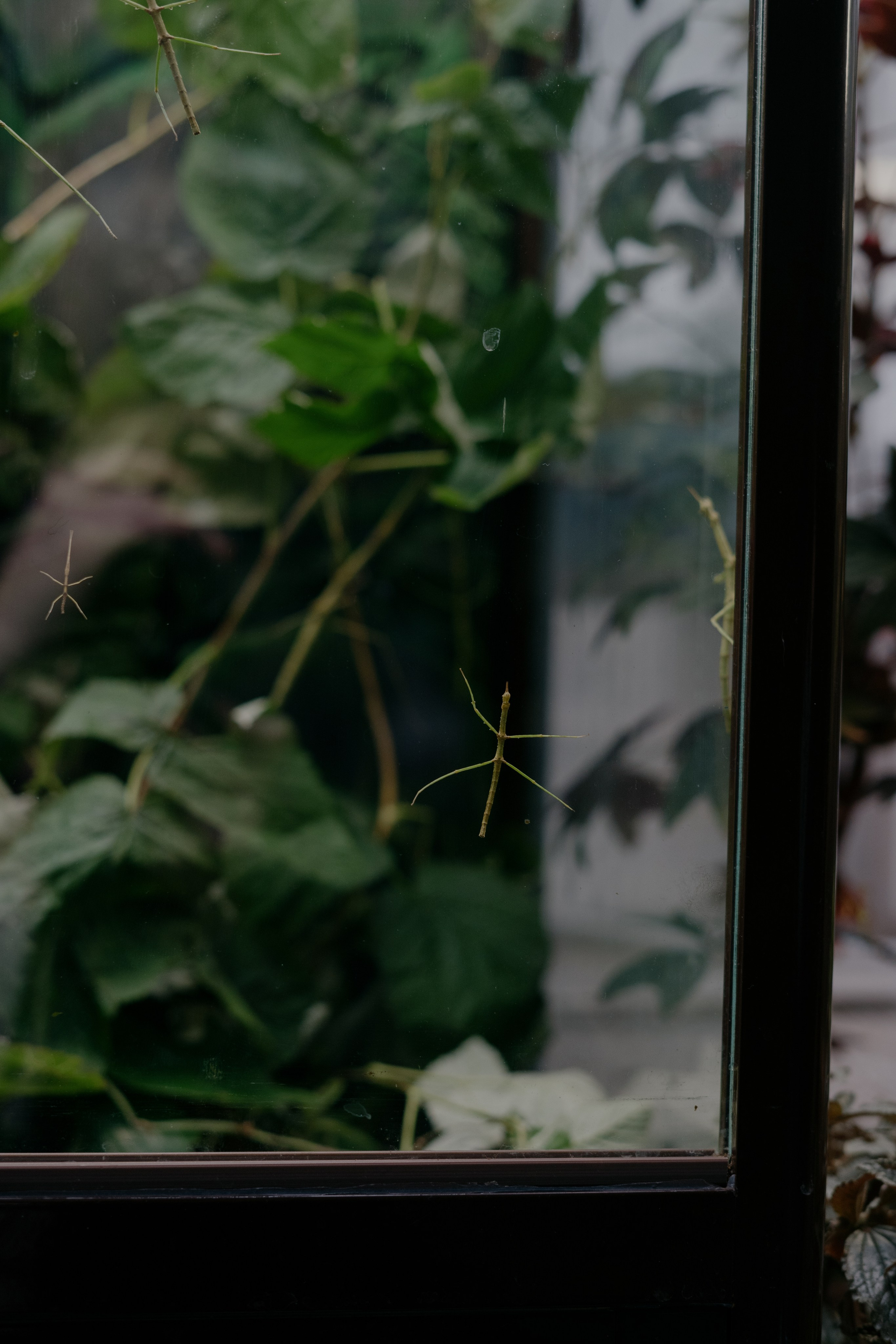 Елизавета Никита. Фотограф Томск Новосибирск Елизавета Вахтеева