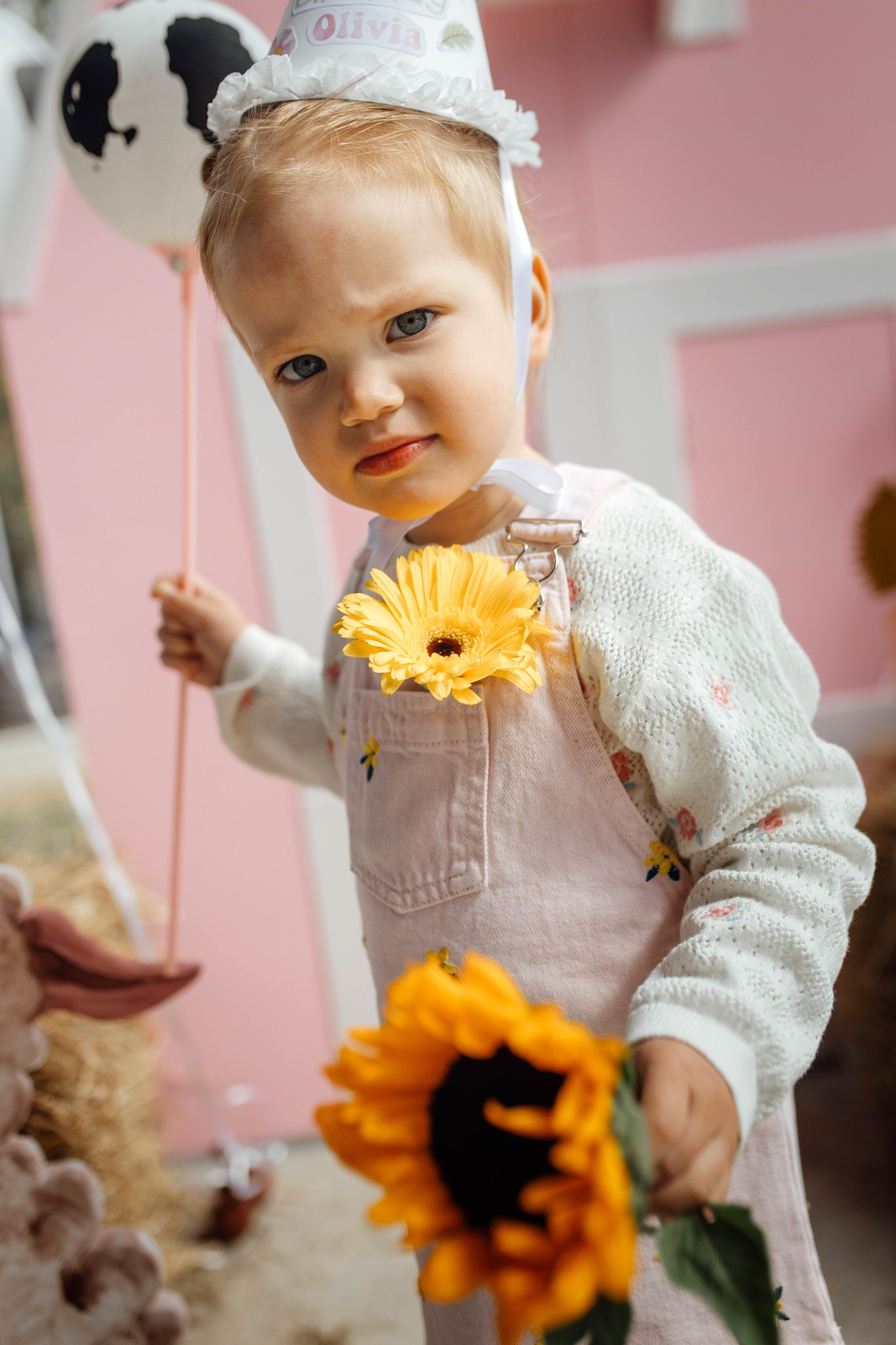 Репортаж дома, др