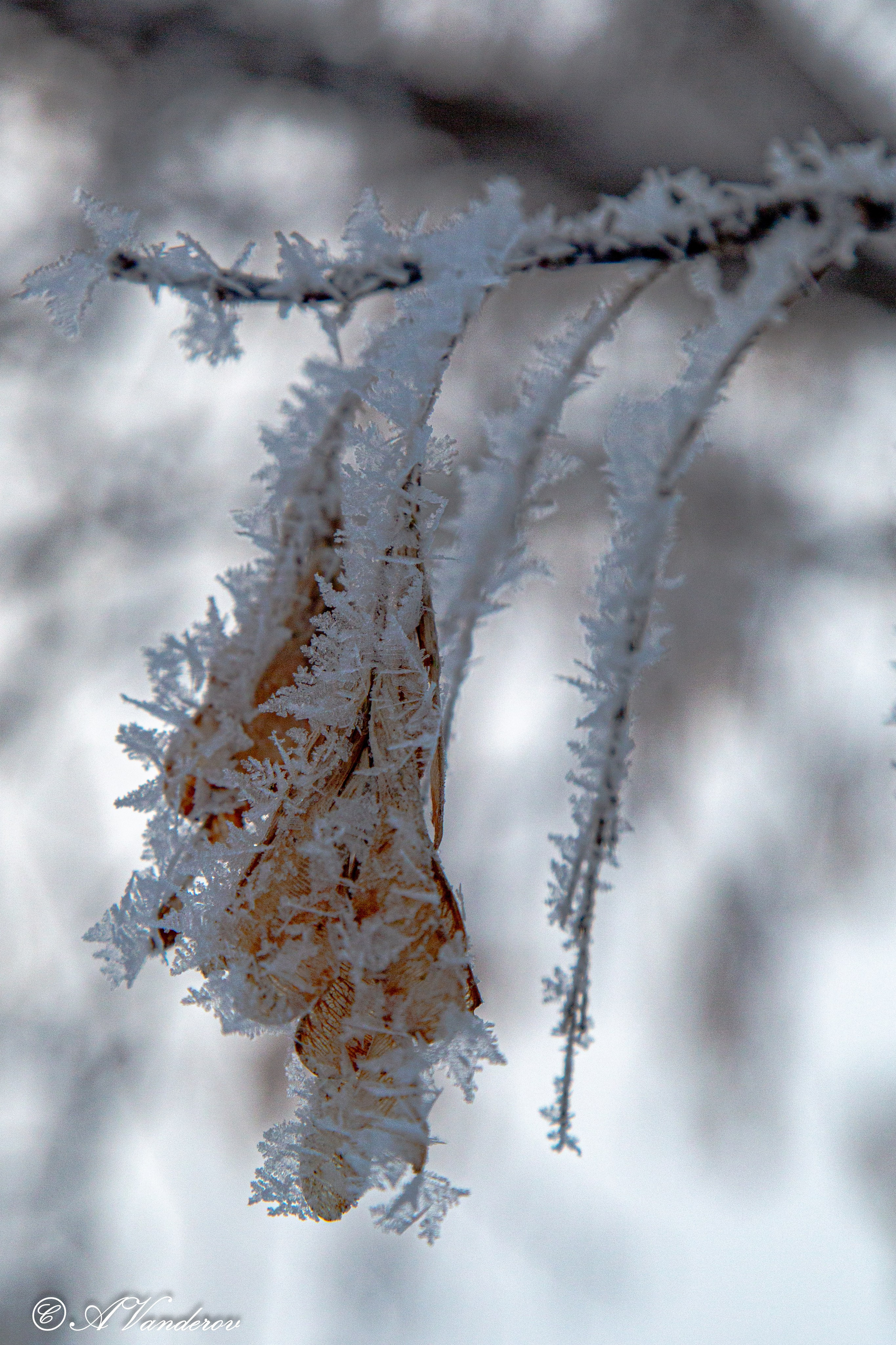 Красота природы. Фотограф Омск | Александр Вандеров