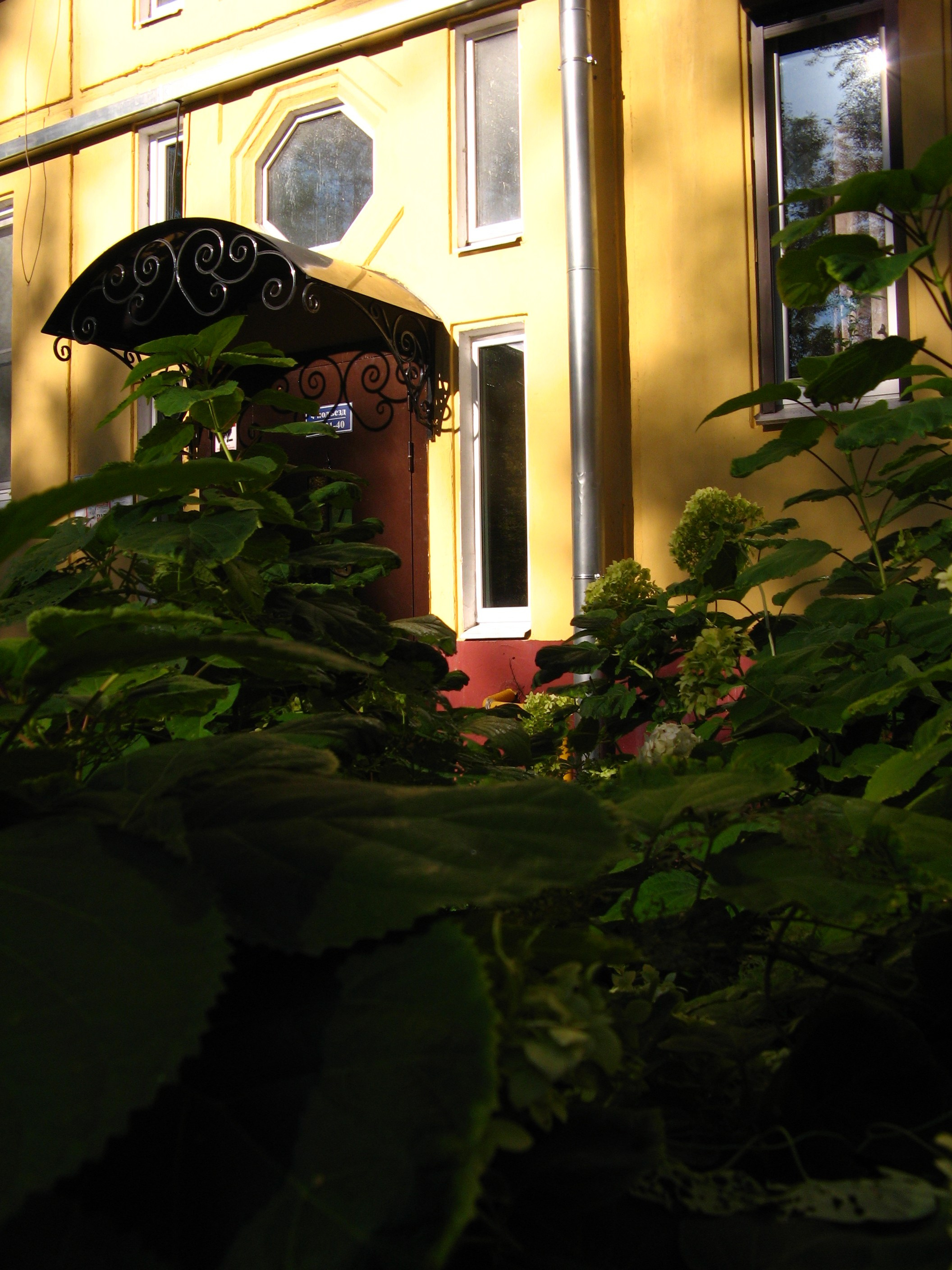 Сентябрь 2025. Den Mirov — Фотограф, Музыкант