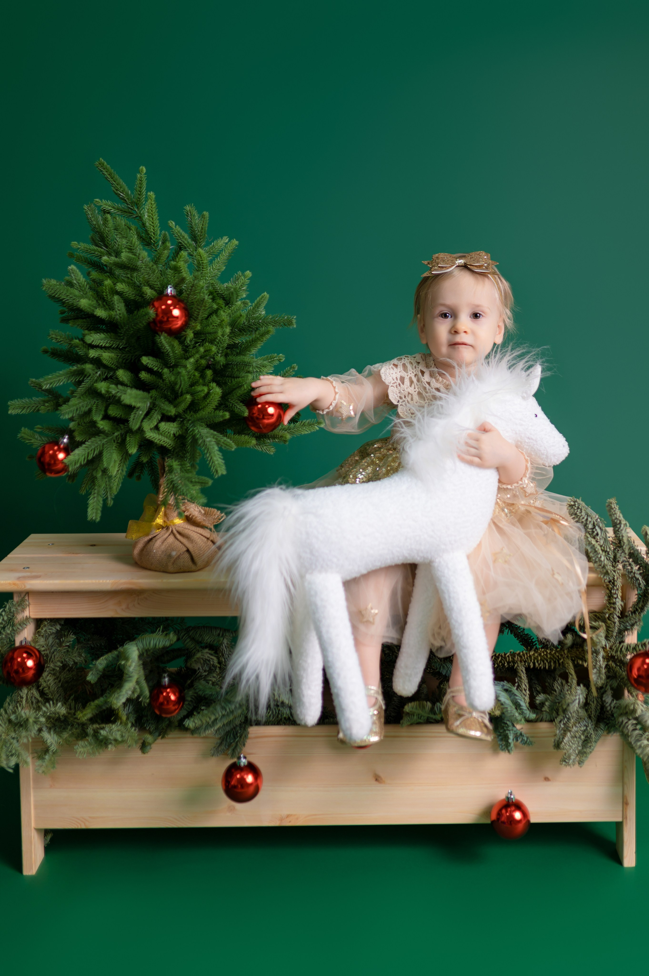 Новый год 2024-2025. Детский фотограф в городе Жуковский Алиса Коробанова