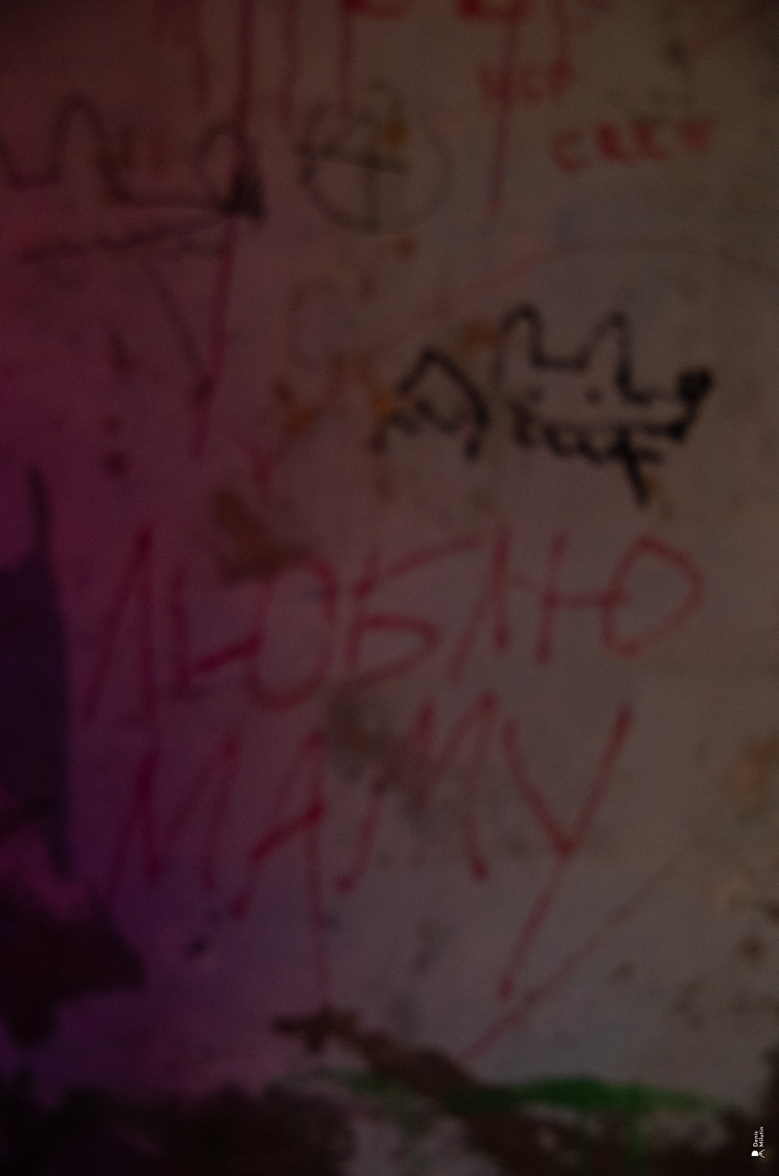 Рядом Ассенизаторы. Портретный фотограф Денис Милютин