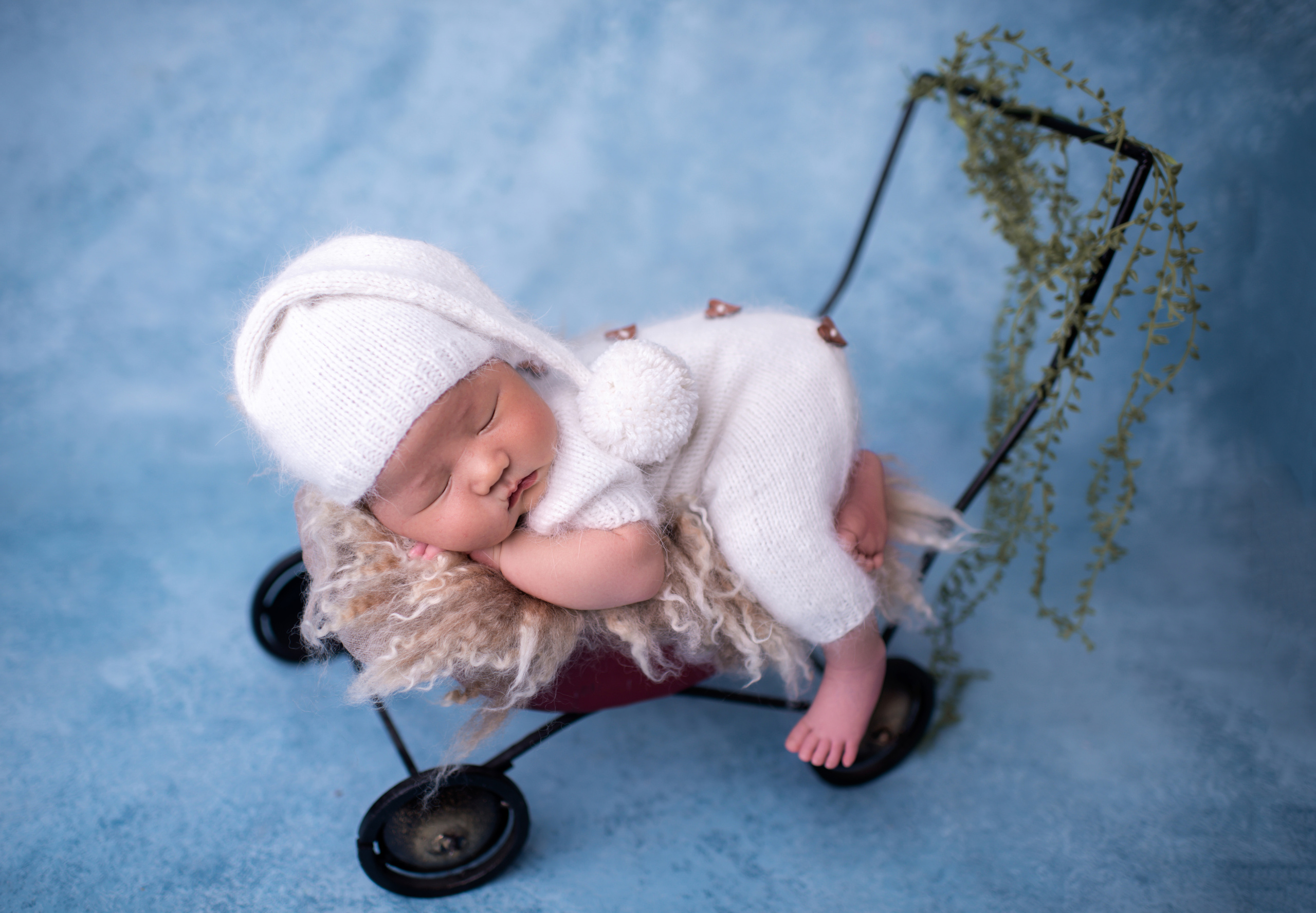 Нурали 15 дней