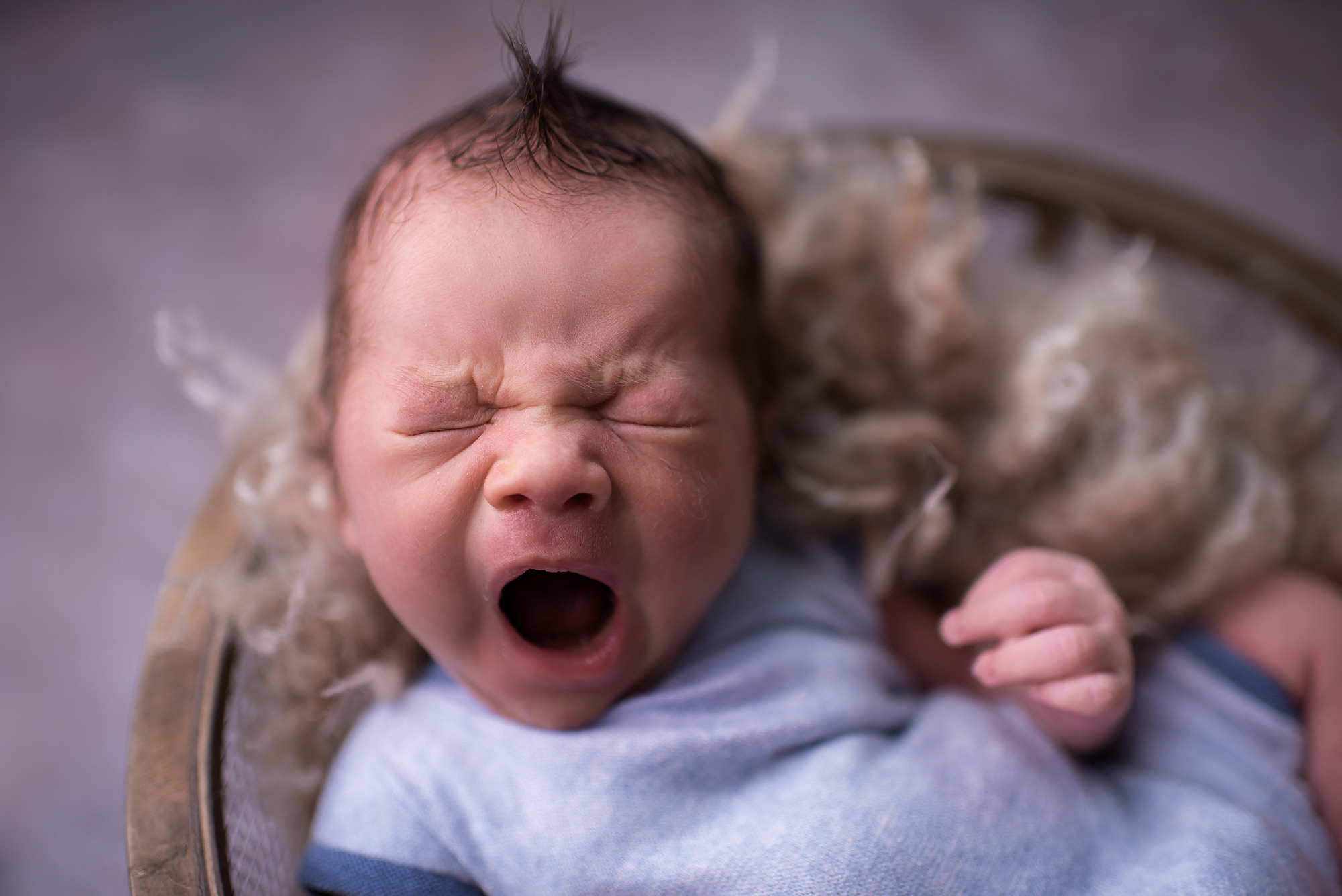 Далер 10 дней