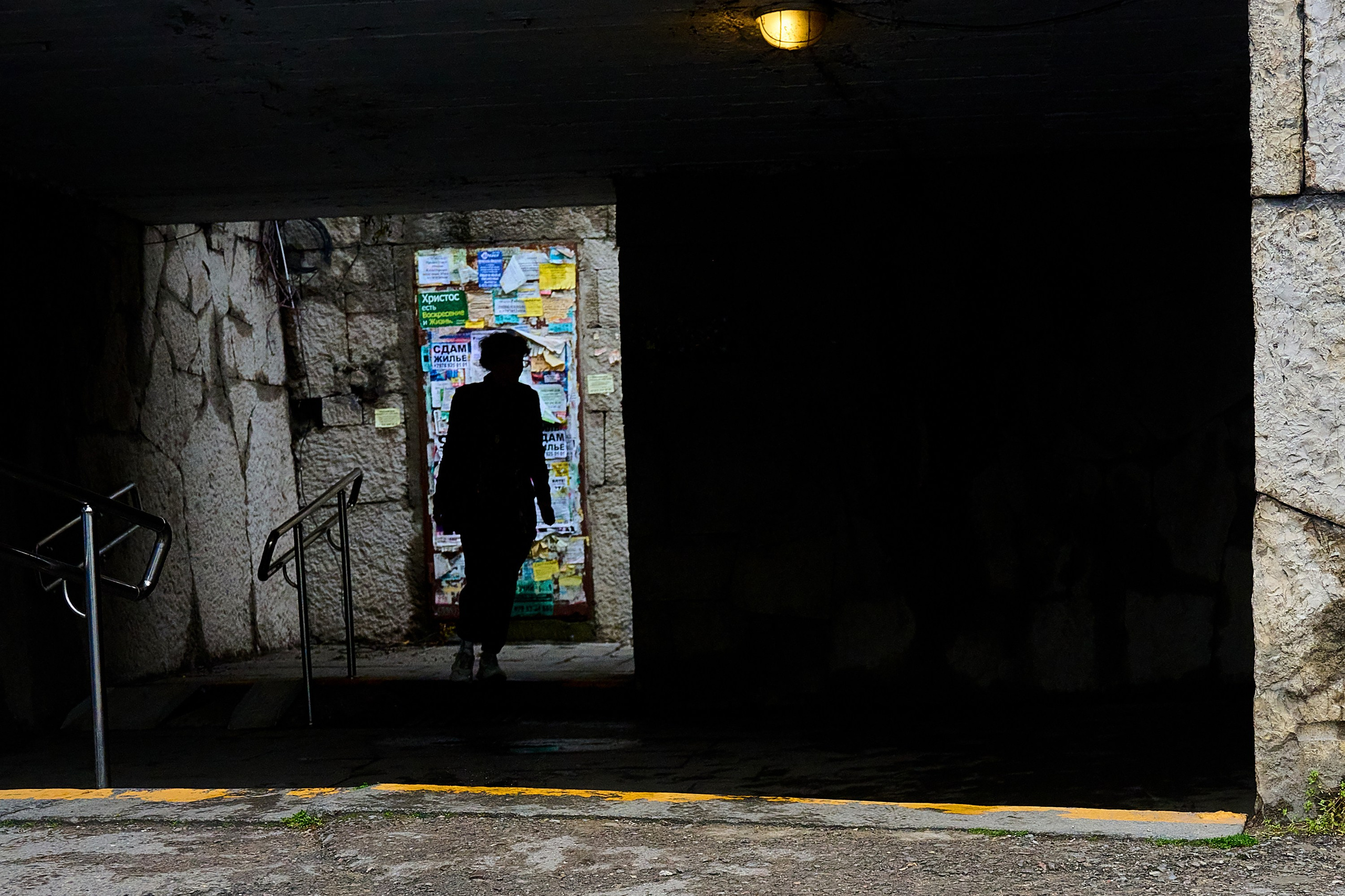 Жизнь, люди, стрит, вокруг, животные, на улице. Яркие фото на Чёрном море