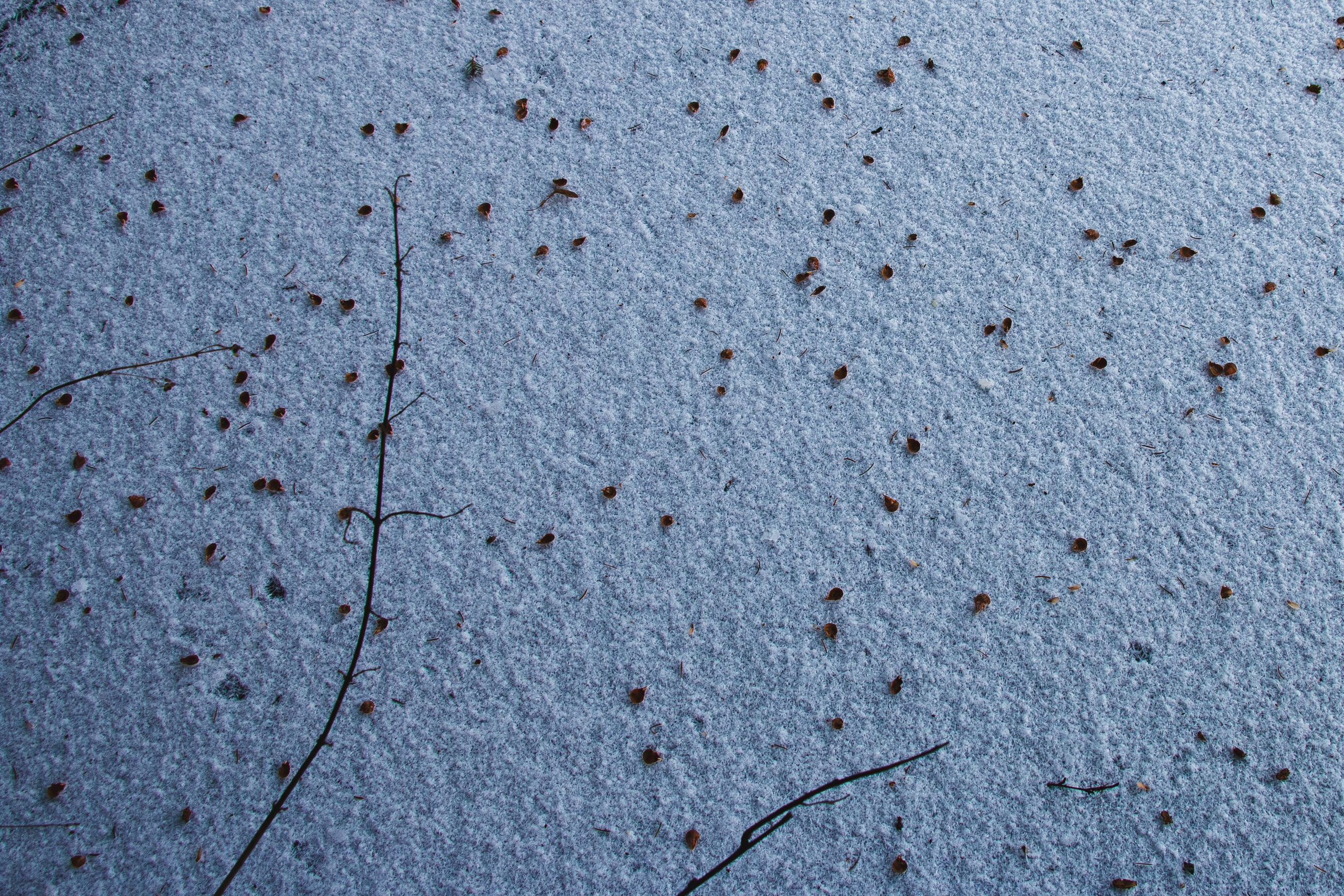 Интимный пейзаж. Олег Романов. Мастер фото по спорту