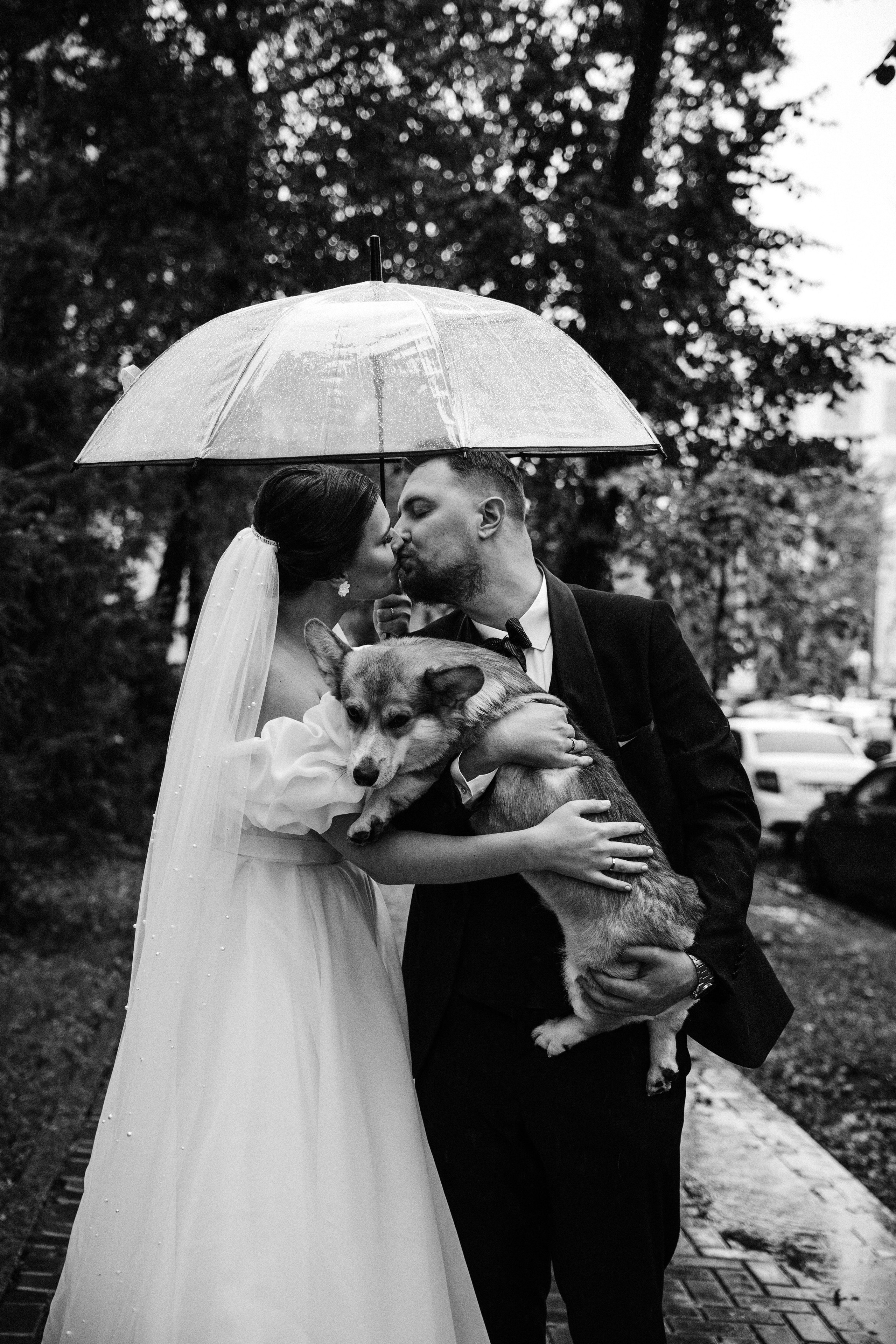 Евгений и Александра. Свадебный и портретный фотограф Тюмень