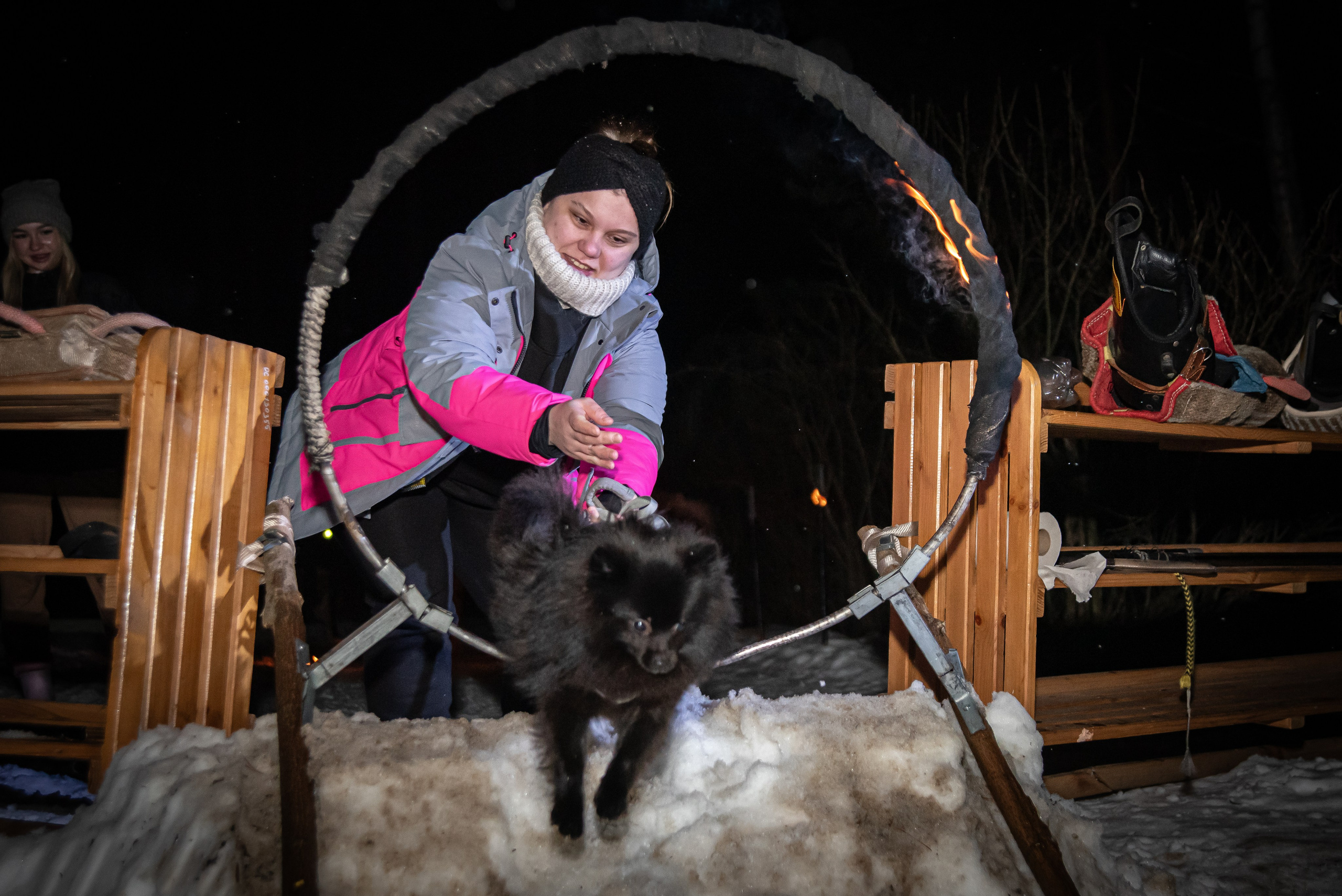 Фотосъёмка с собаками в Кинологическом лагере. Фотограф Макс Огурцов в Нижнем Новгороде