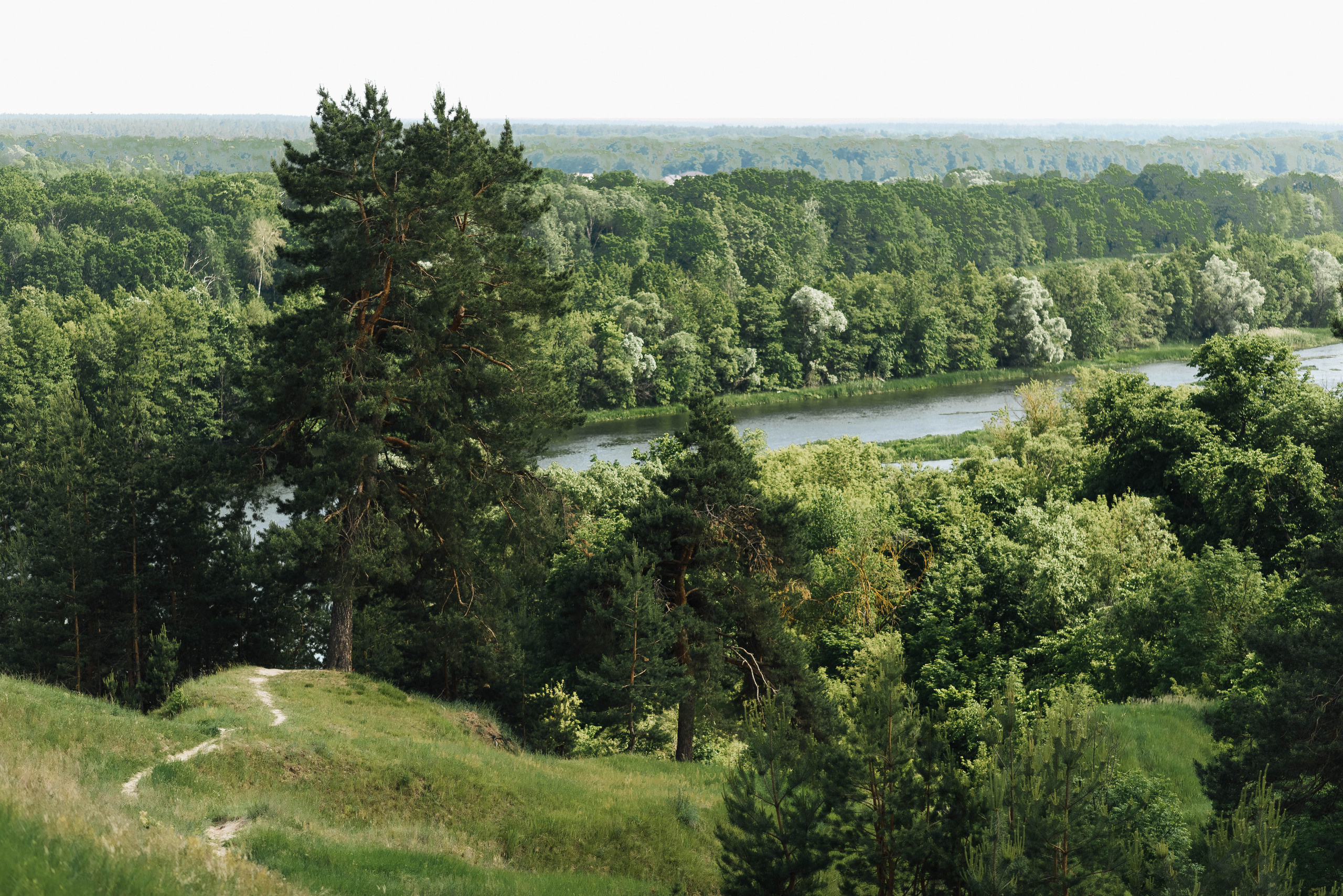 Свадьба Ульяны и Кирилла. Свадебный и семейный фотограф в Воронеже и за границей