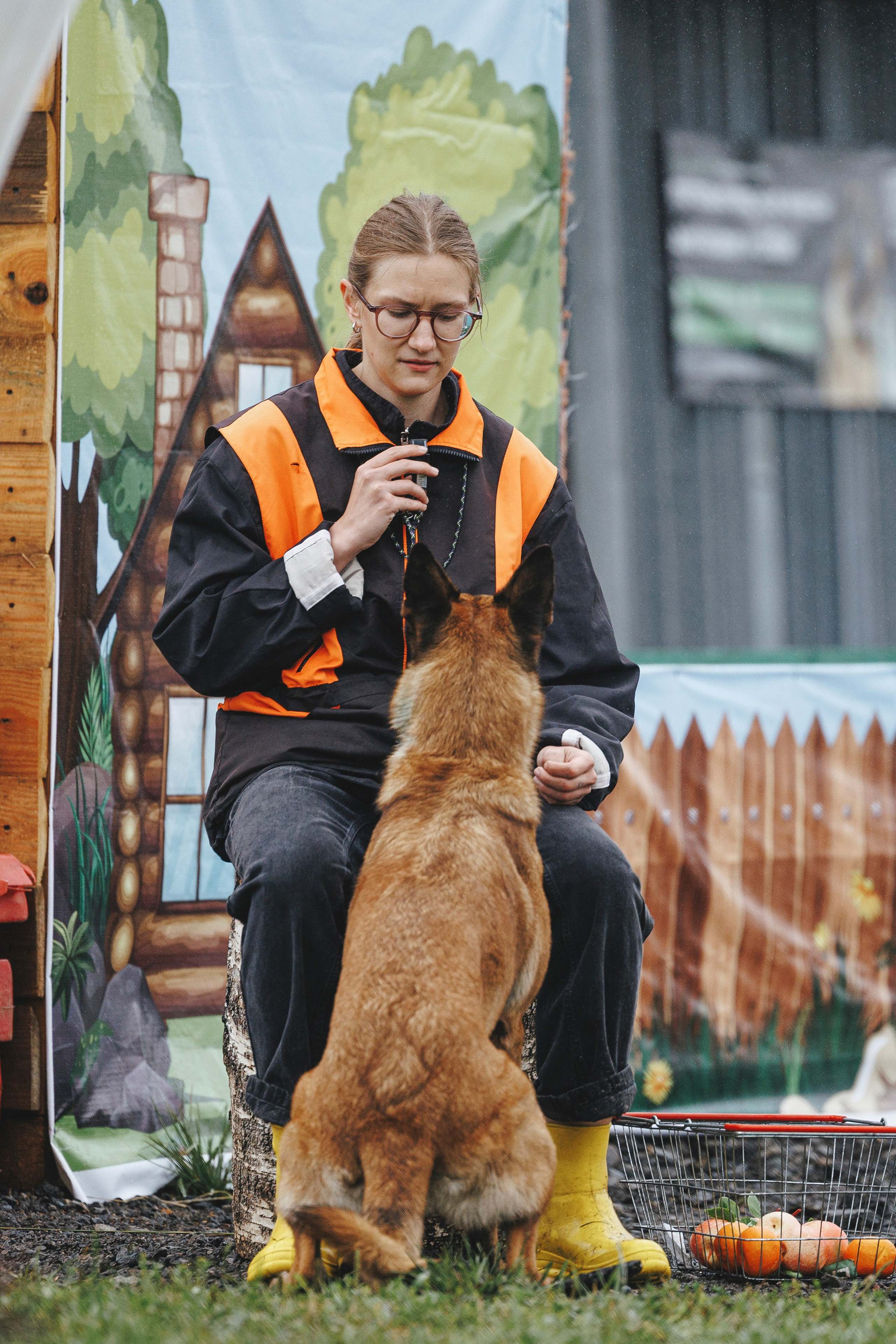 08.08.25-10.08.25 ЧР по мондьорингу г. Вологда. Фотограф-анималист Анна Маринич