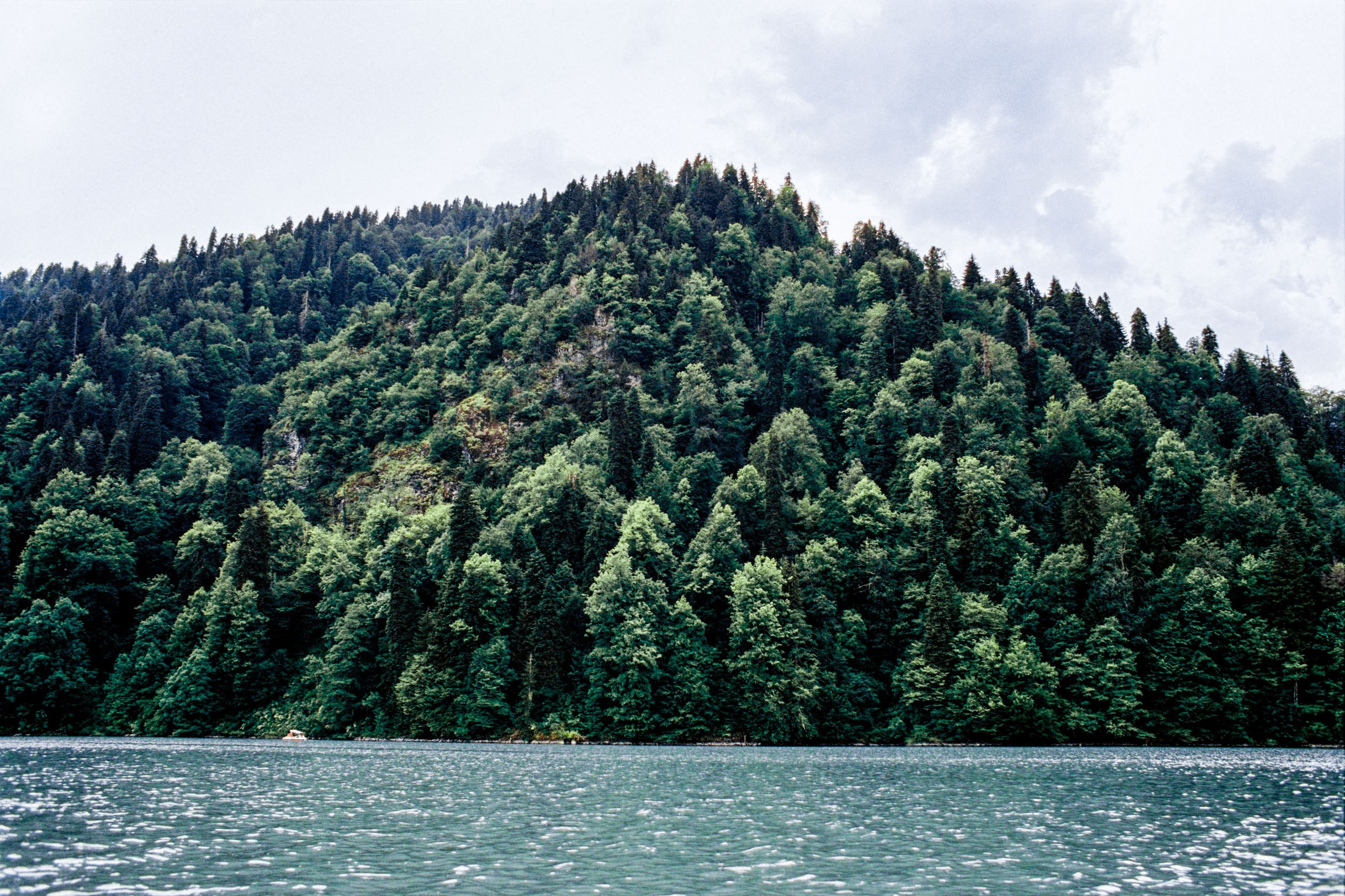 Abkhazia-2023. Никита Демидов. Nikita Demidov