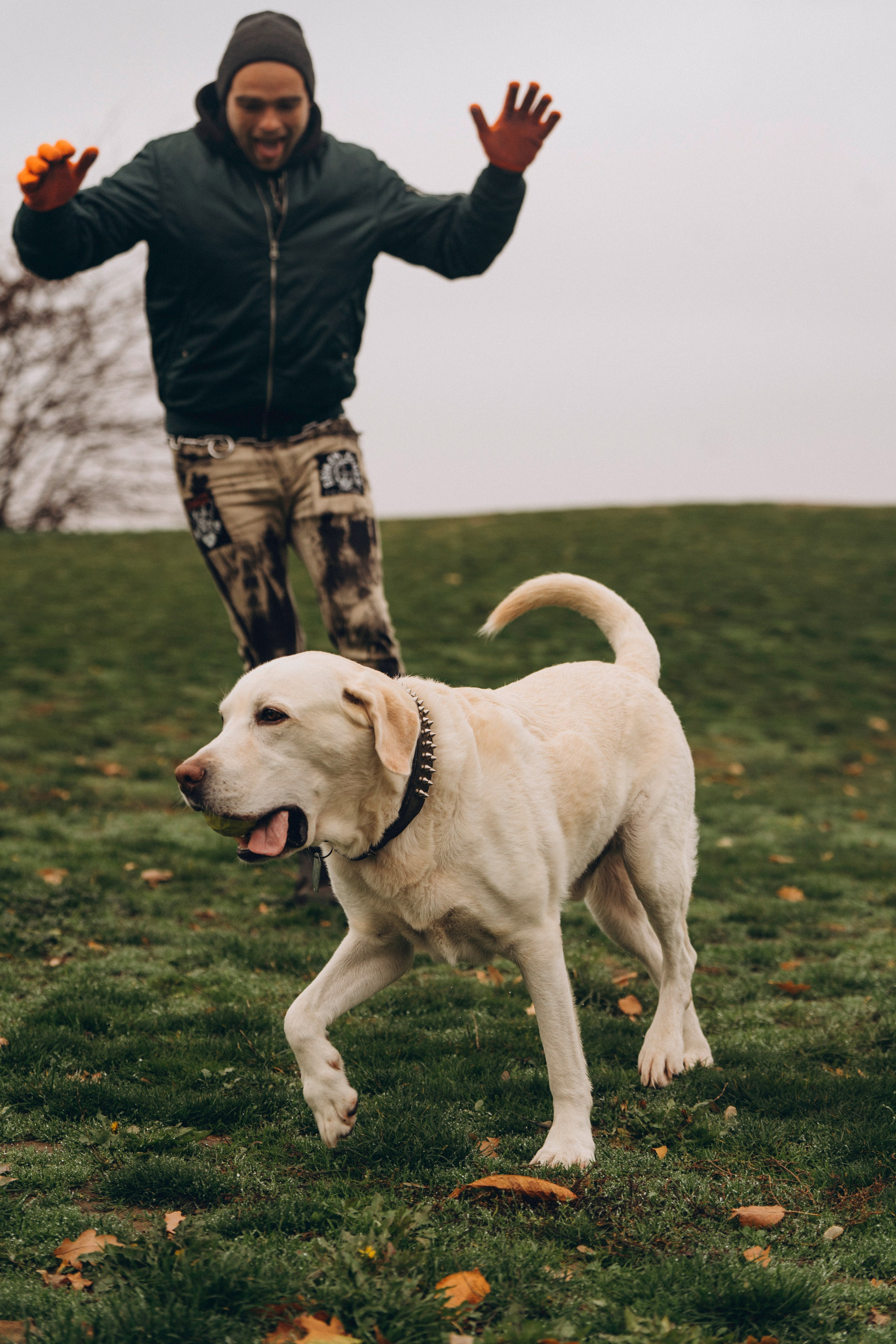 Вати, Лена и Леван. Фотограф анималист в Спб недорого Олеся Майорова
