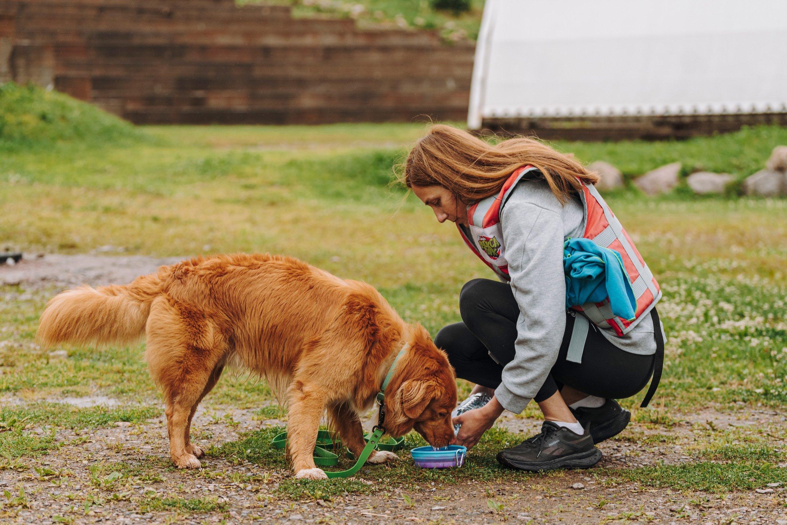 Катание на сапах с собаками. Фотограф анималист в Спб недорого Олеся Майорова
