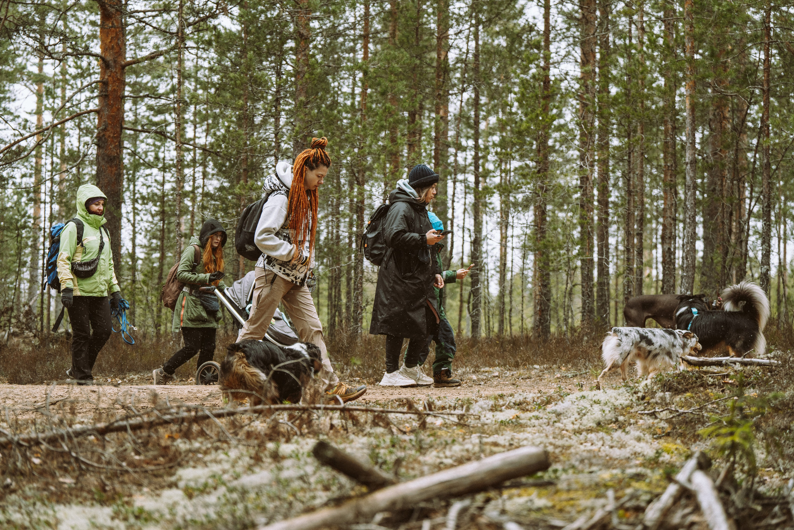 Дог трекинг к финскому хутору. Фотограф анималист в Спб недорого Олеся Майорова