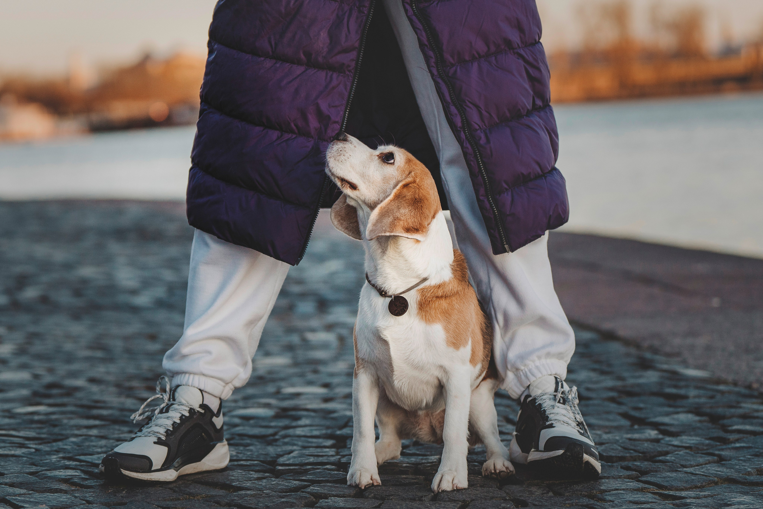 Ксения и Гаечка. Фотограф анималист в Спб недорого Олеся Майорова