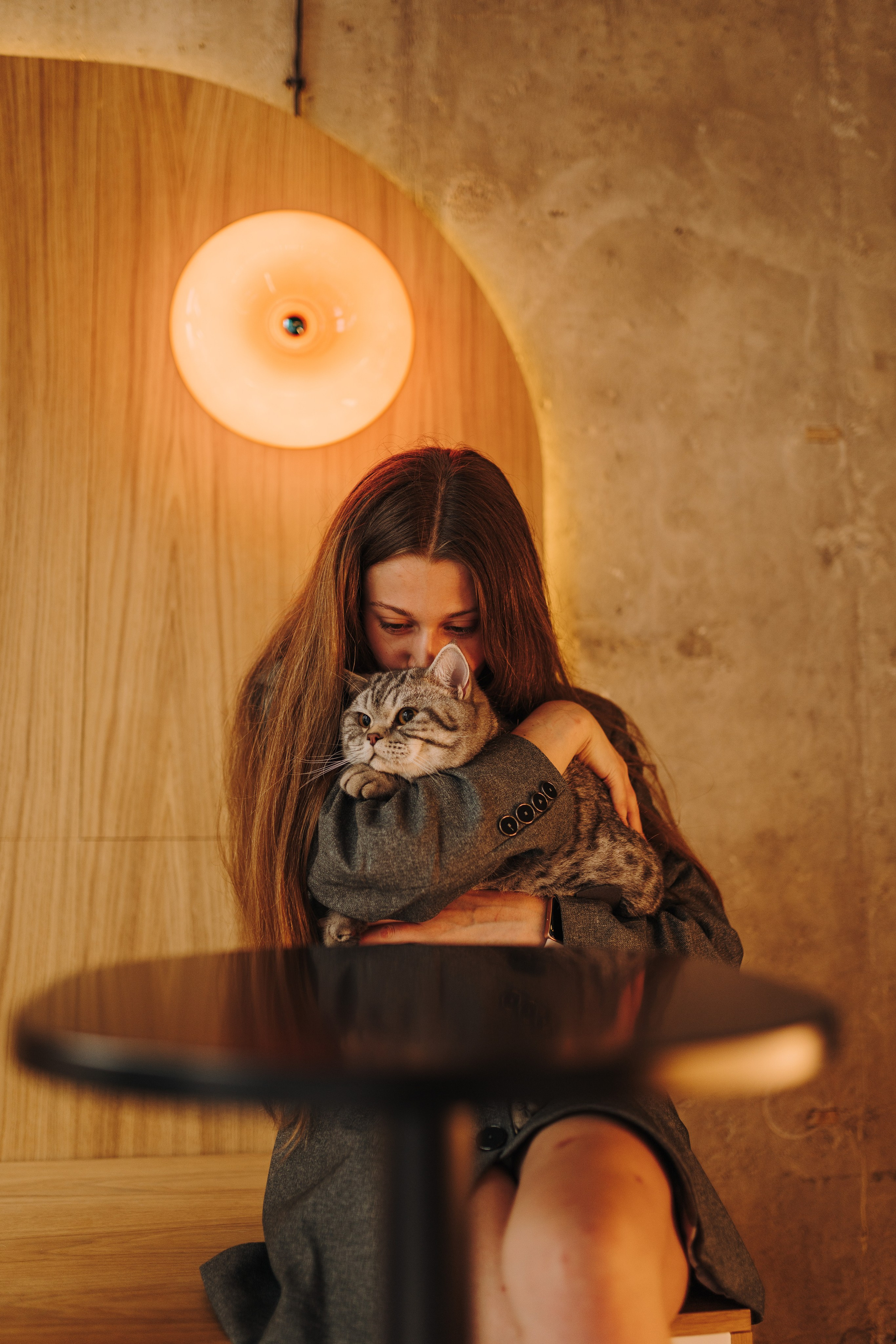 Портфолио кошки, фотограф Олеся Майрова. Фотограф анималист в Спб недорого Олеся Майорова