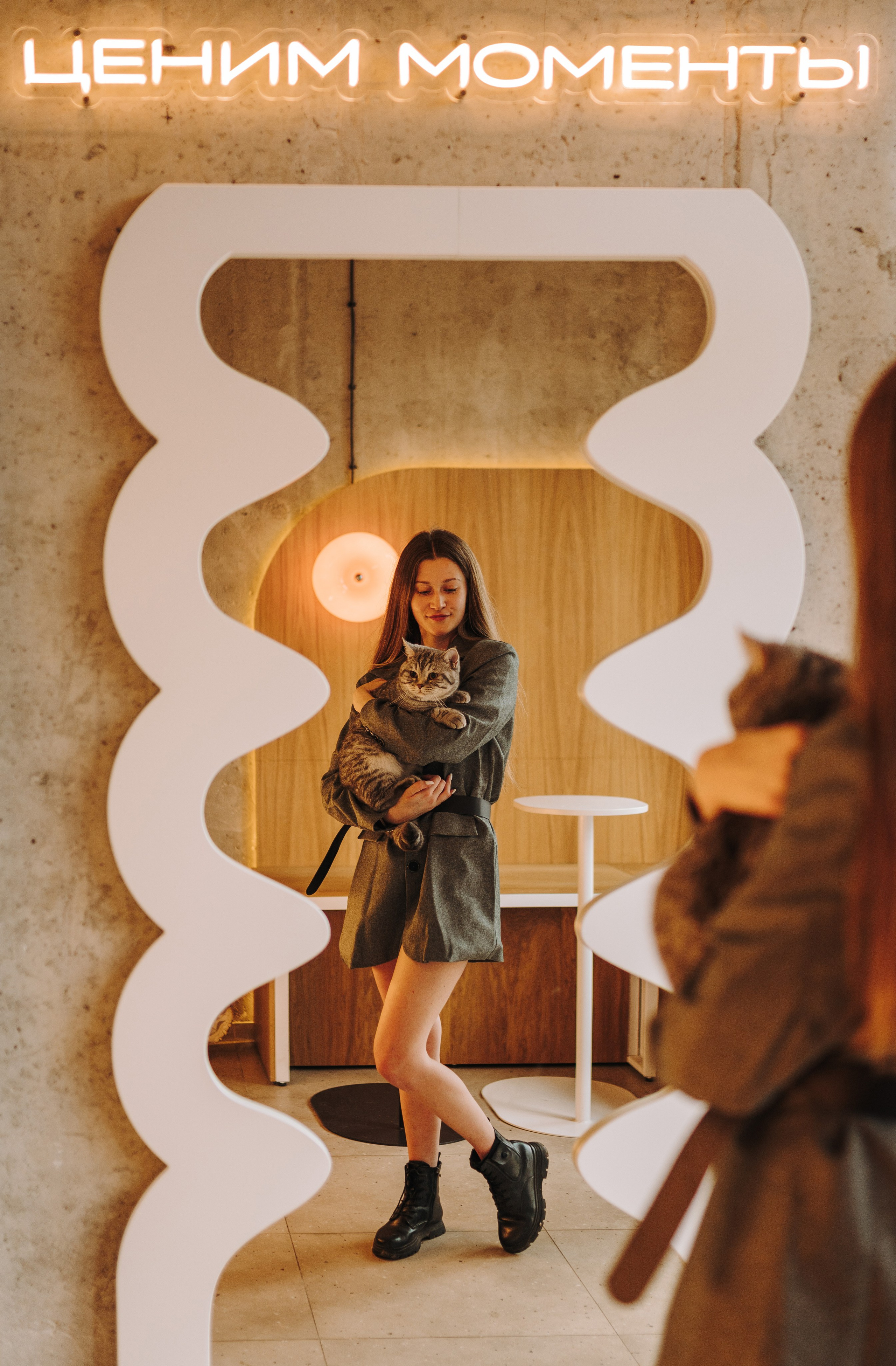 Портфолио кошки, фотограф Олеся Майрова. Фотограф анималист в Спб недорого Олеся Майорова